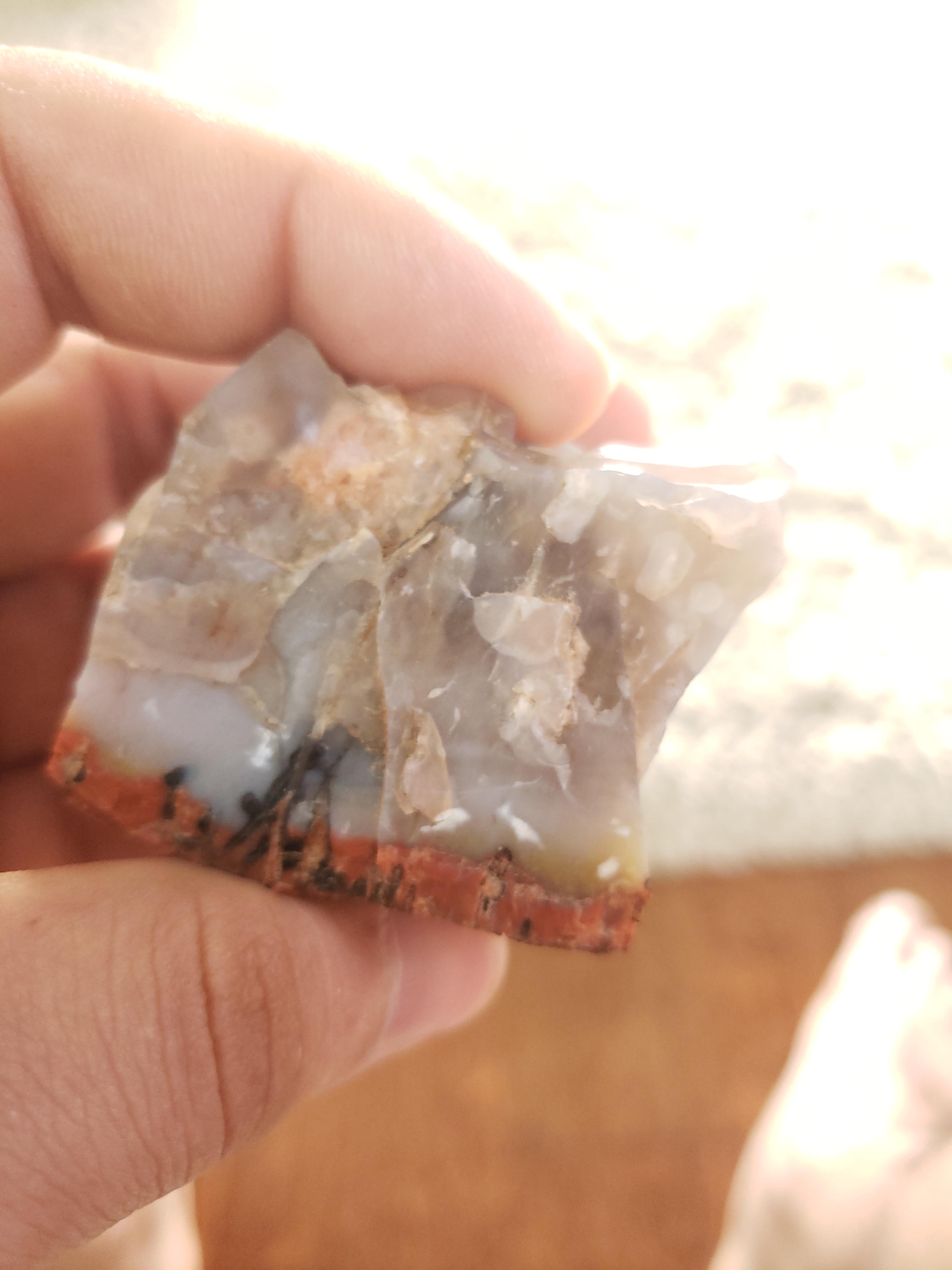 What kind of rock is this? Found it in New Mexico, and it seems like it