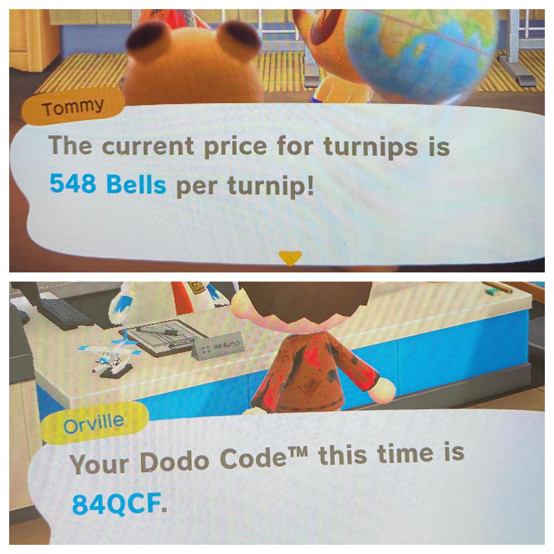 Turnip prices at a high. Come visit. ) r/AnimalCrossingNewHor