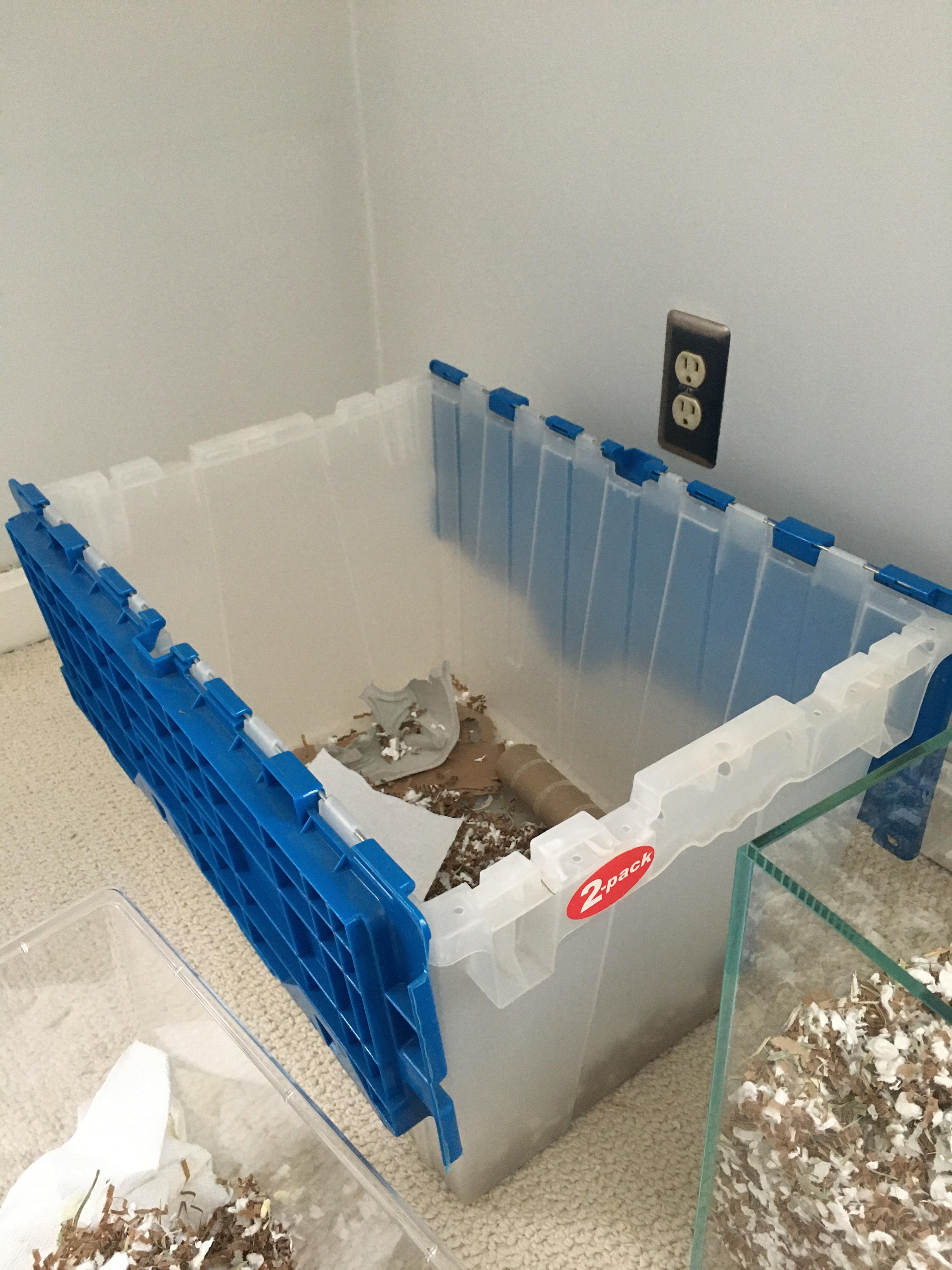 This is where I was keeping my new gerbils when cleaning their tank