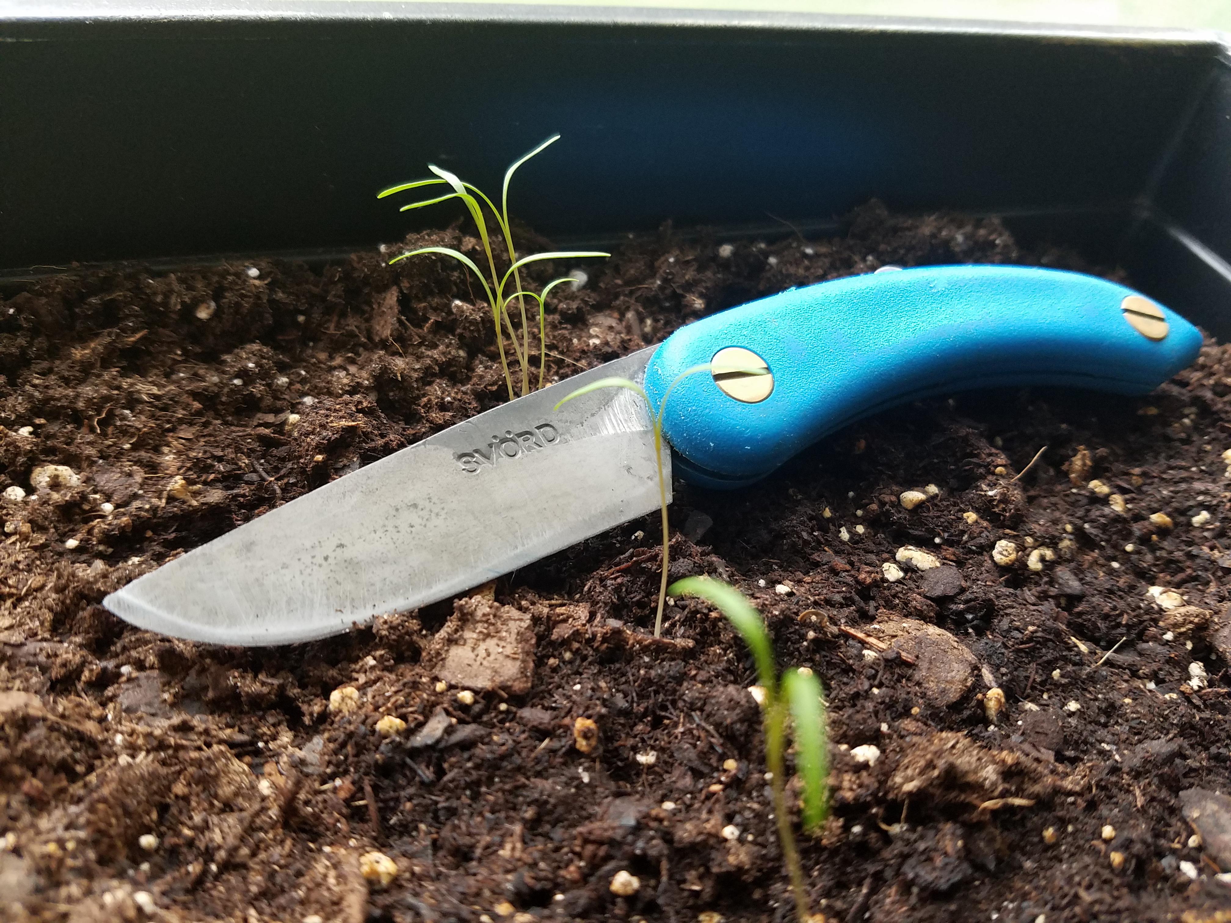 There is no better budget EDC knife. CMV (Svord Mini Peasant) r/EDC
