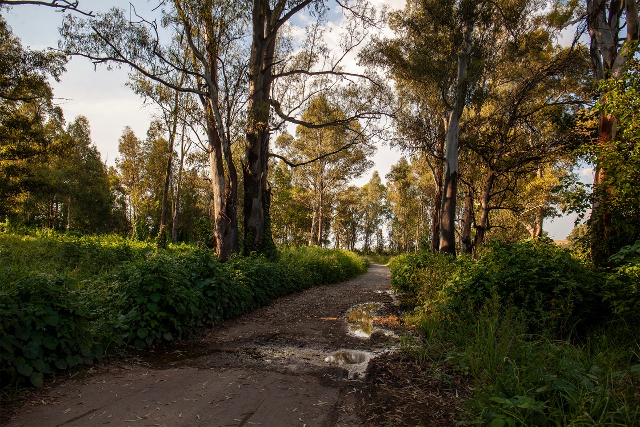 Modderfontien Nature Reserve r/johannesburg