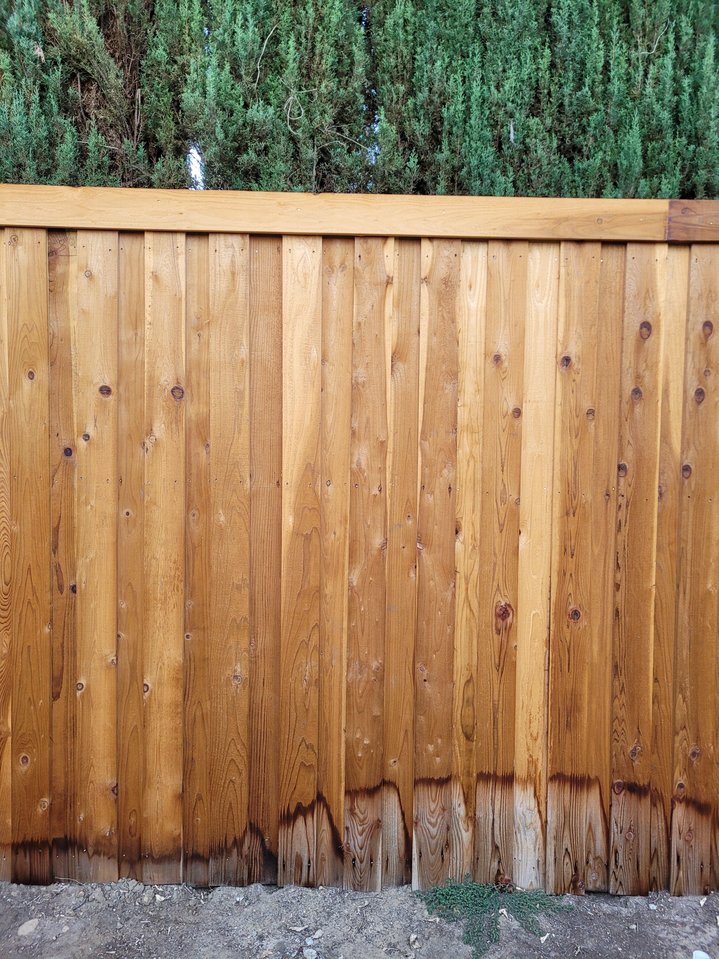 Brand new redwood fence needs help, sprinklers have already stained it
