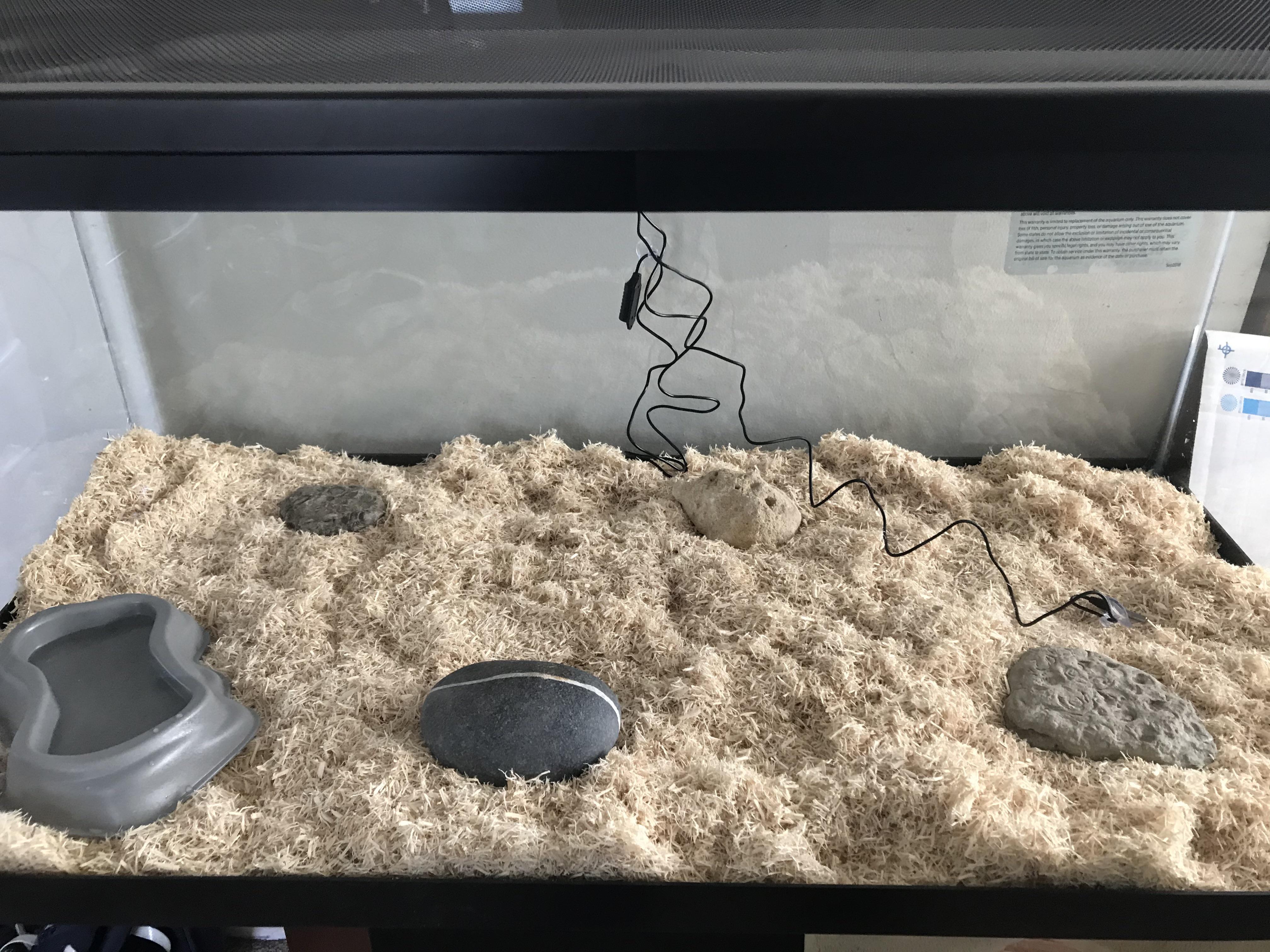 So I’m new to owning a snake, is there anything else I need for a corn