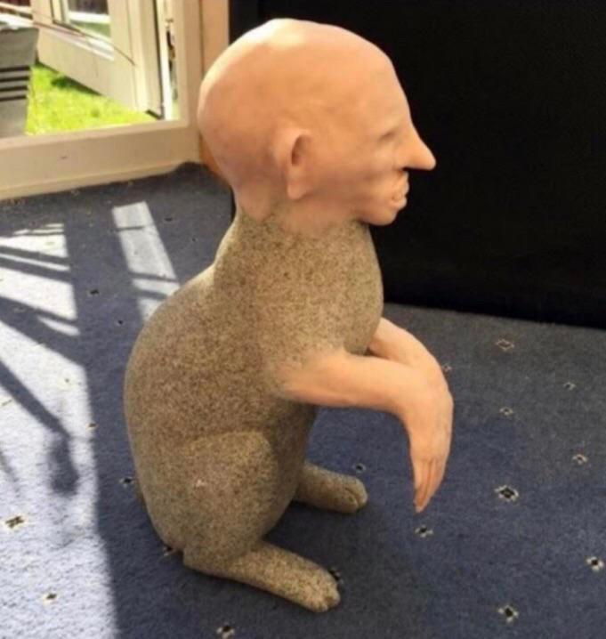 Thanks, I hate this seal flippered baldypus r/TIHI