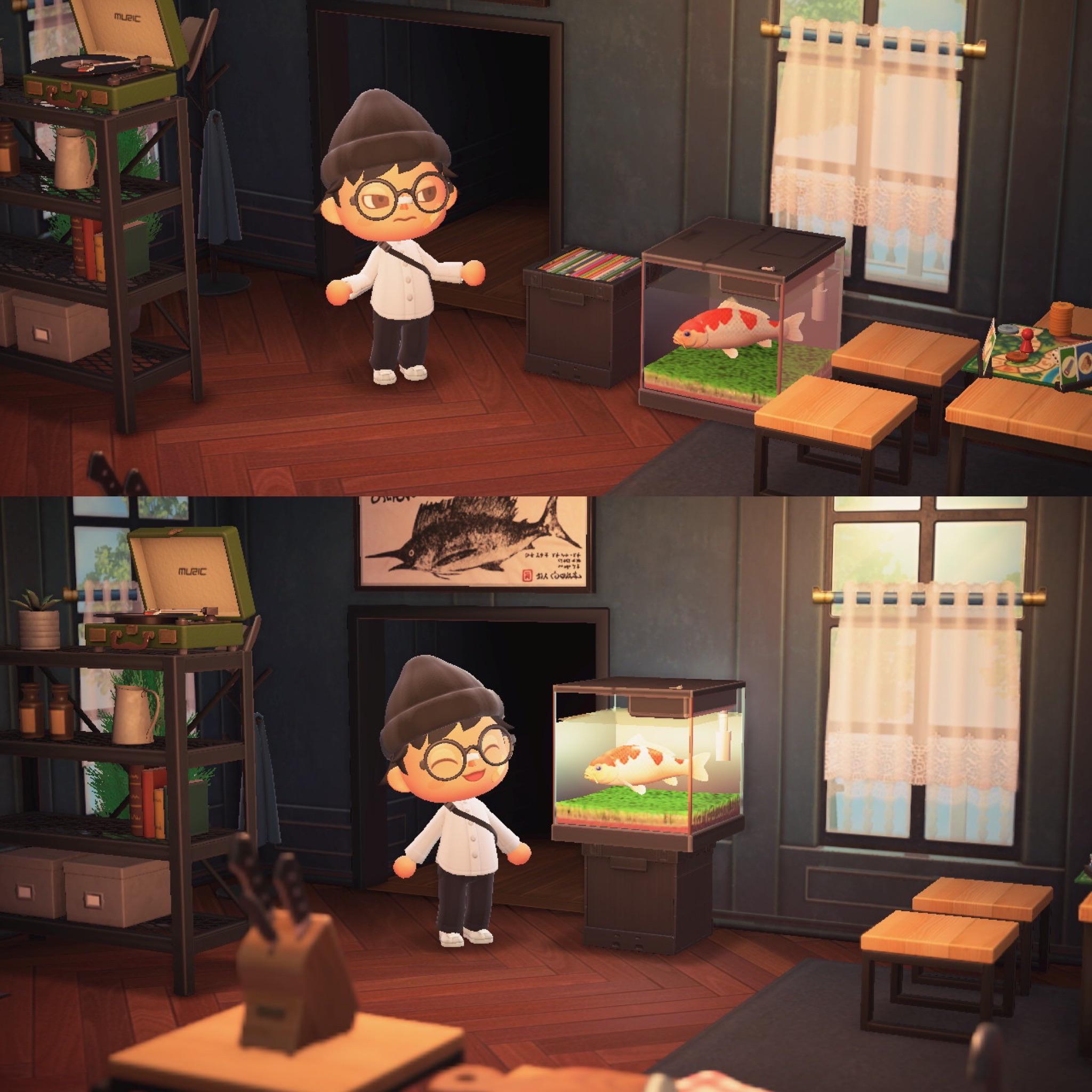 You can make an aquarium if you put your fish on a record box! r/ac