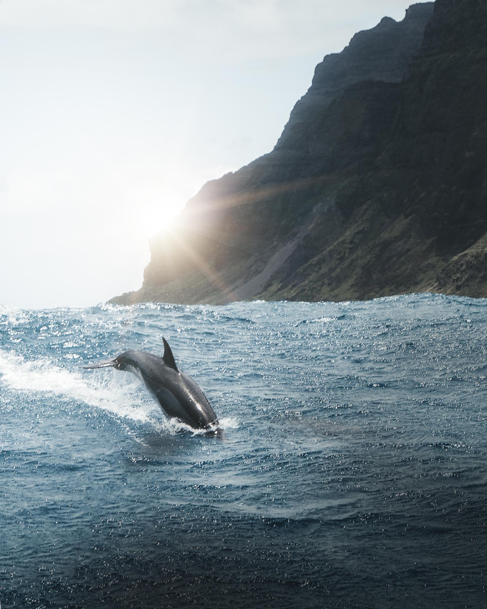 In the right place at the right time! Turned the corner on the Na Pali