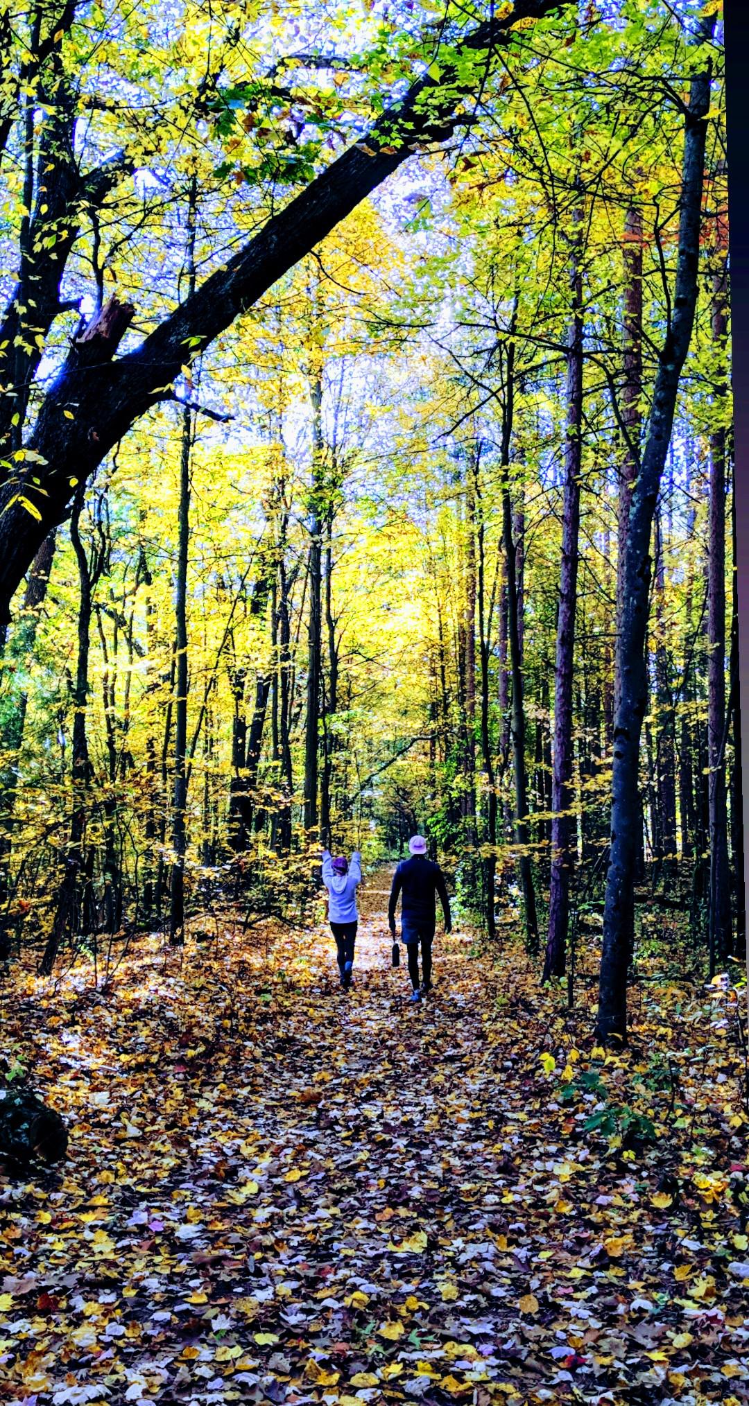 Heritage Park, Farmington Hills, MI r/hiking
