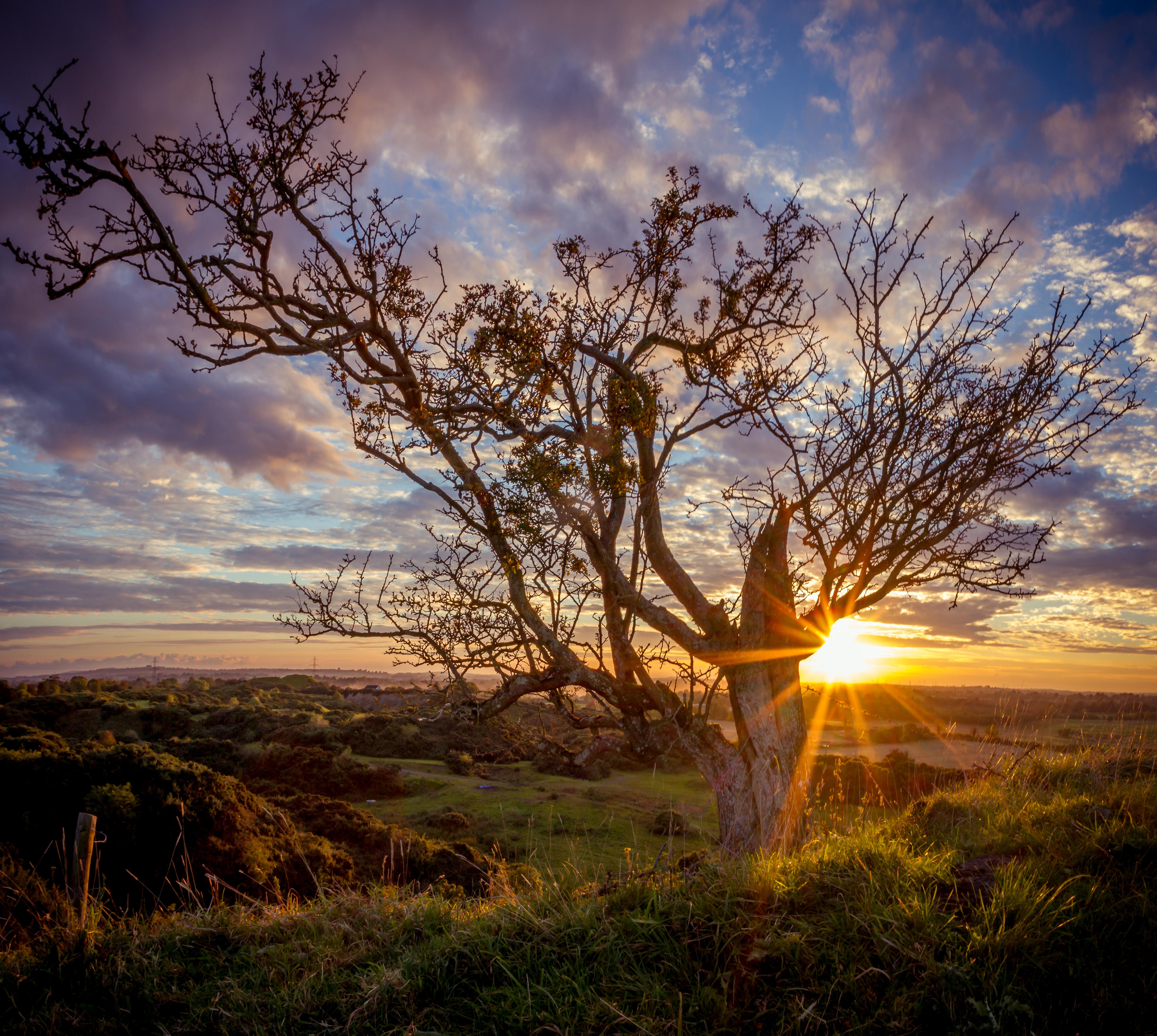 Autumn/Fall sunset Kildare, Ireland. 4904 × 4391 r/EarthPorn