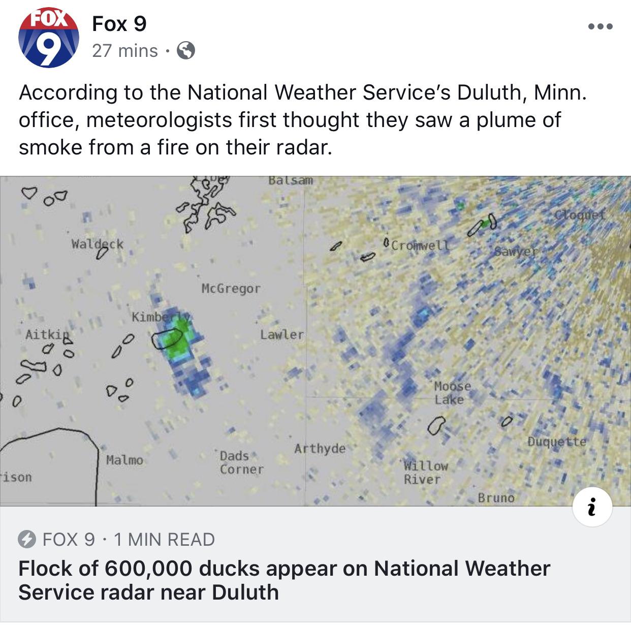 600,000 Ducks appear on Duluth’s NOAA radar r/minnesota