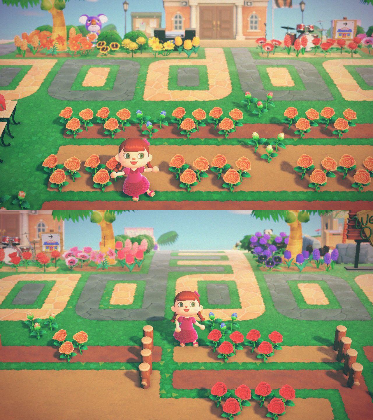 I saw several weeks of work rewarded this morning. Finally got the