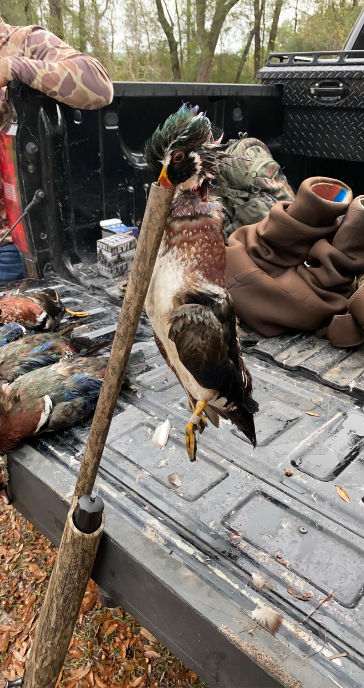 Best Blind Bag/Backpack? Waterfowl