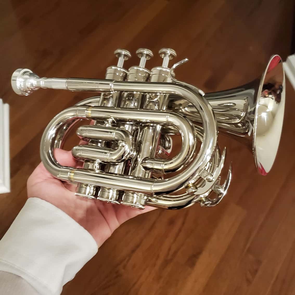 My new trumpet. Makes the same noise as a normal one it's just half the