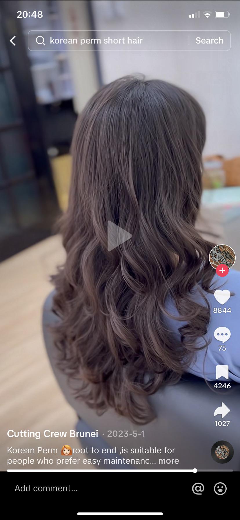 How long does a Korean perm last? r/Hair