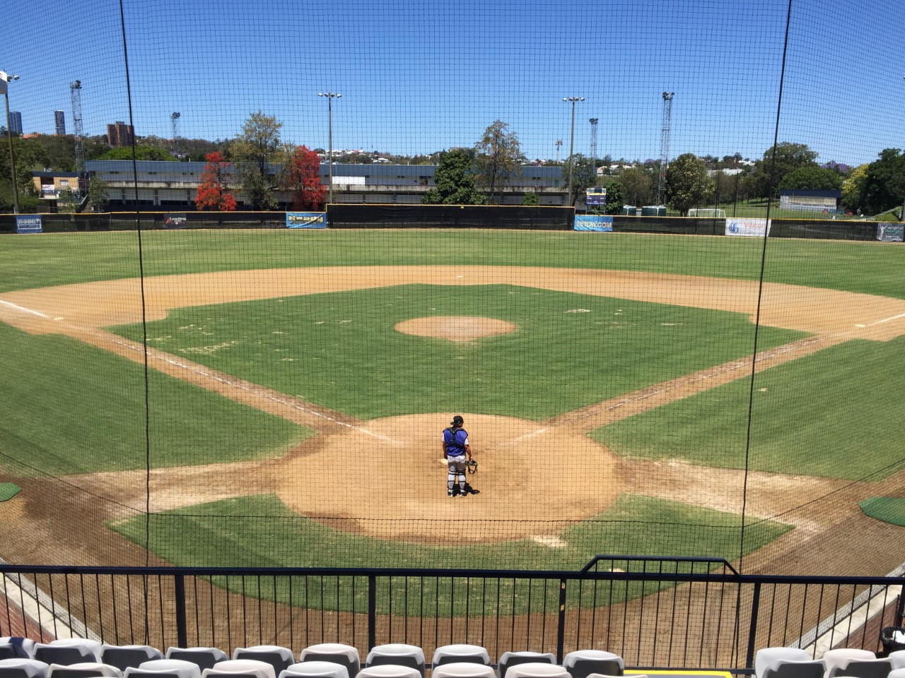 Baseball around the world Brisbane, Australia r/baseball