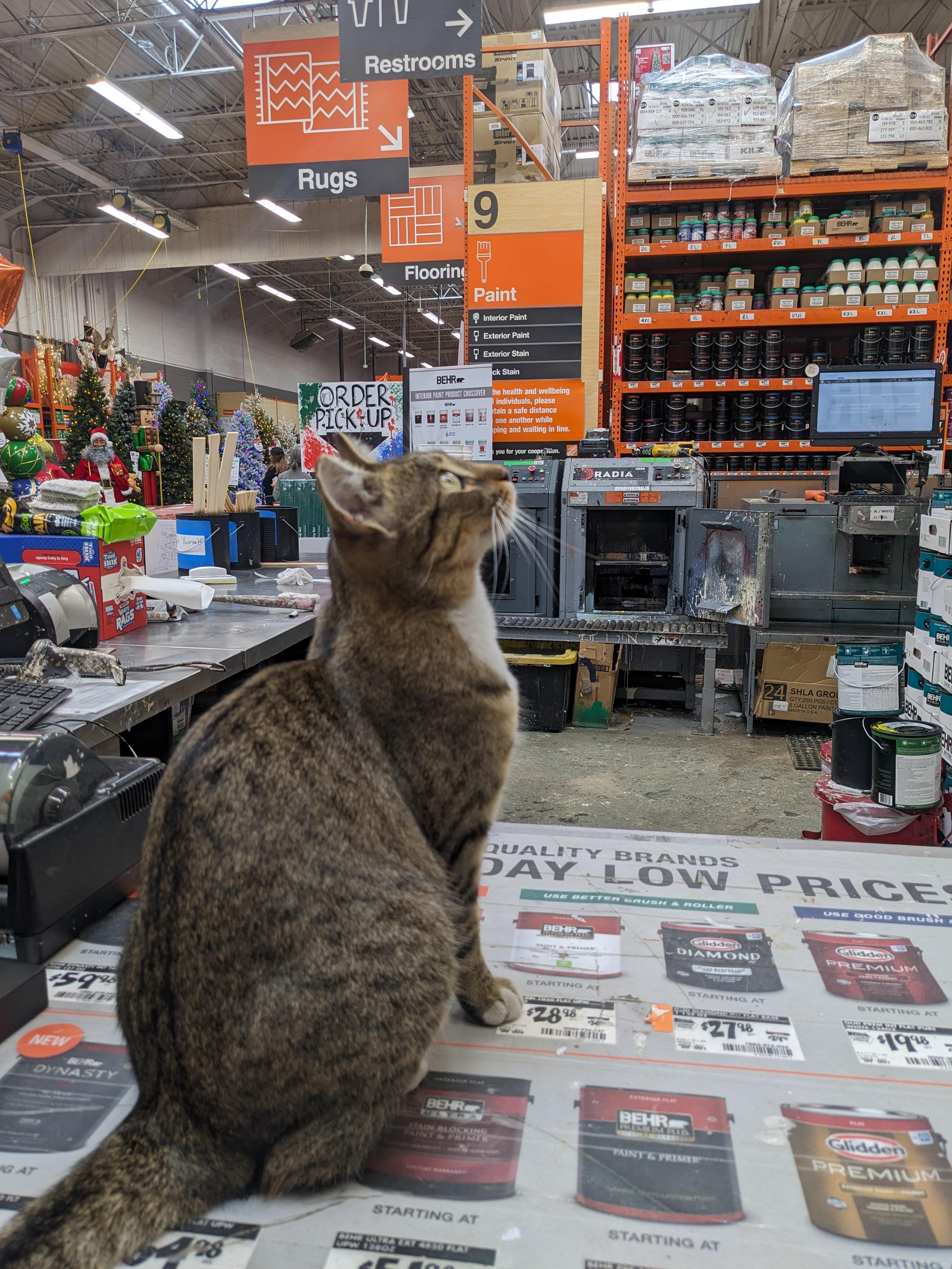 I've been to Emeryville Home Depot about 100 times and this is my first