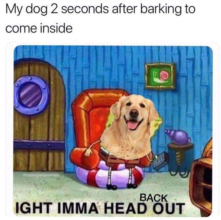 30 Good Dog Memes For All Of You To Enjoy