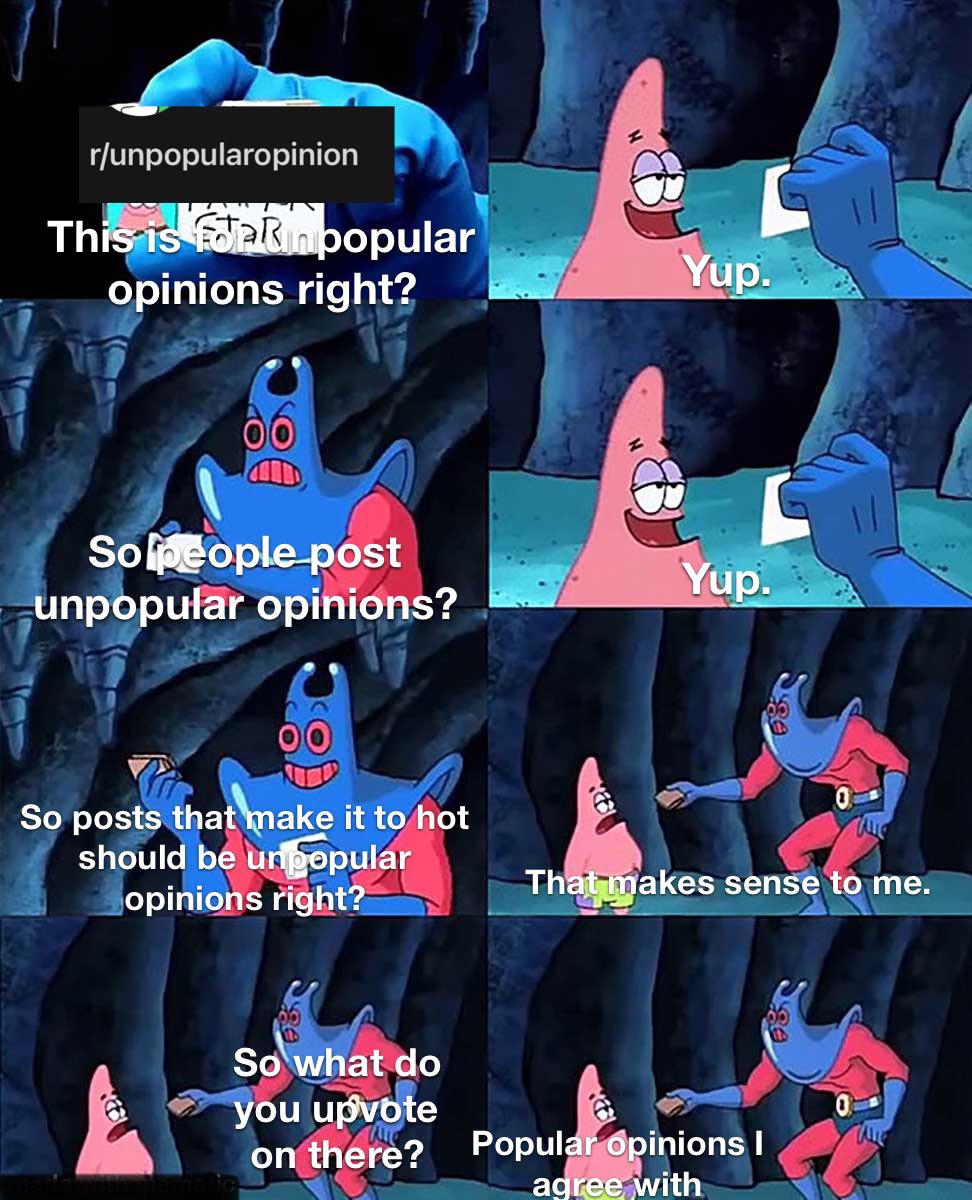 r/unpopularopinion in a nutshell r/memes