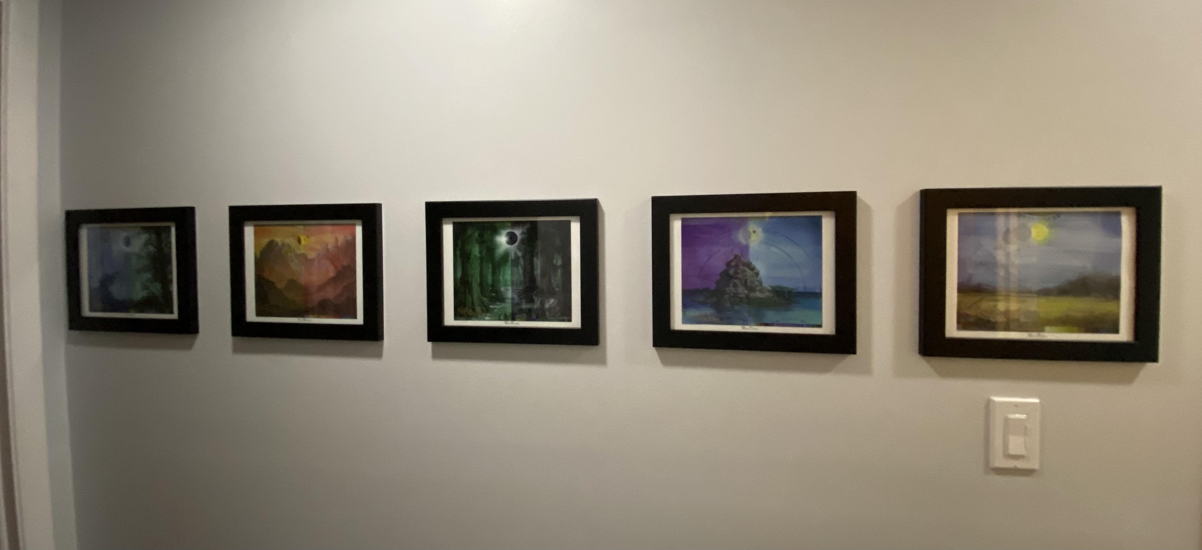 Got my guru land prints framed and hung! They’re so pretty magicTCG