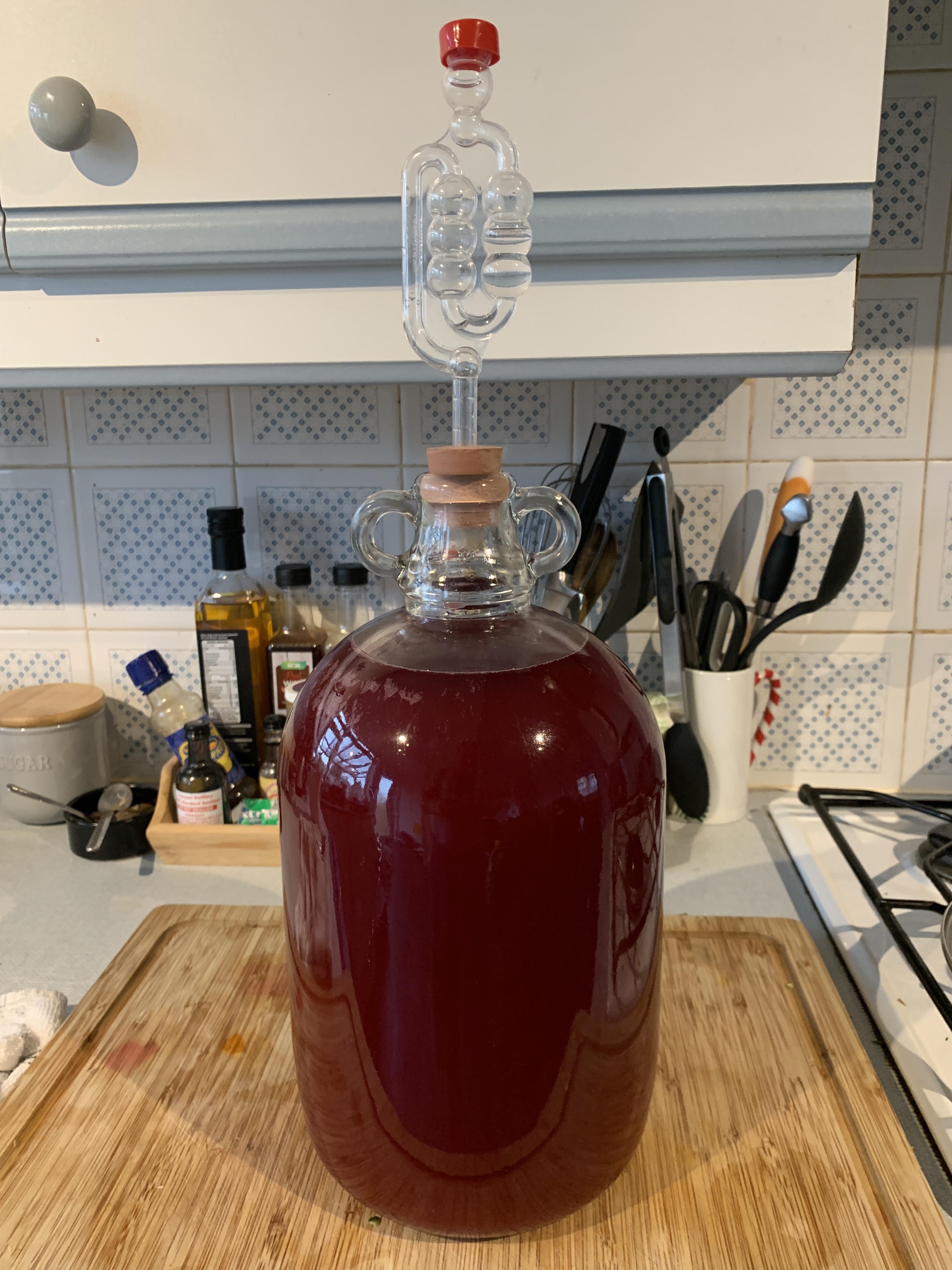Elderberry wine into secondary fermentation! r/winemaking