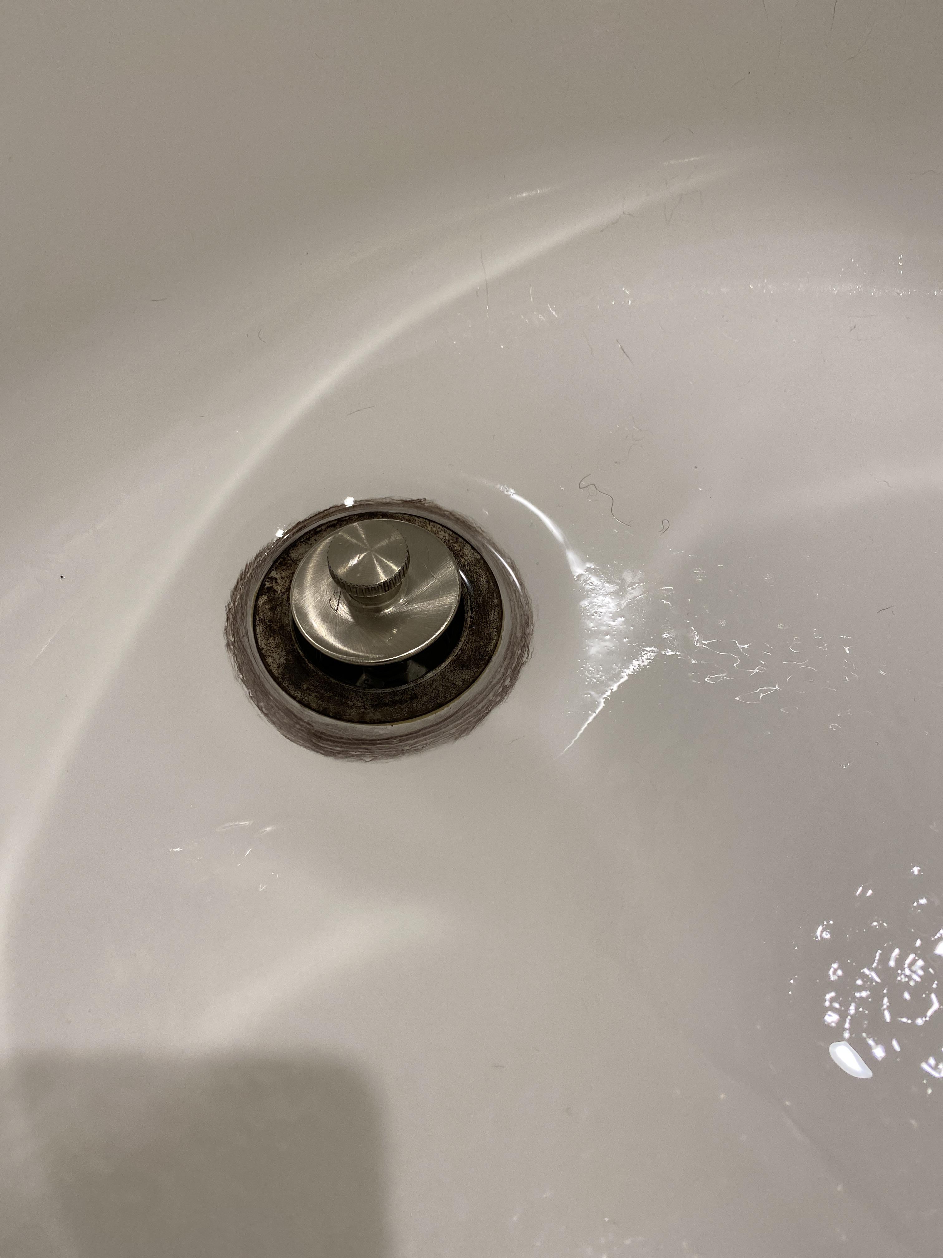 Cat Peeing In Shower Drain at Kathryn Chavis blog