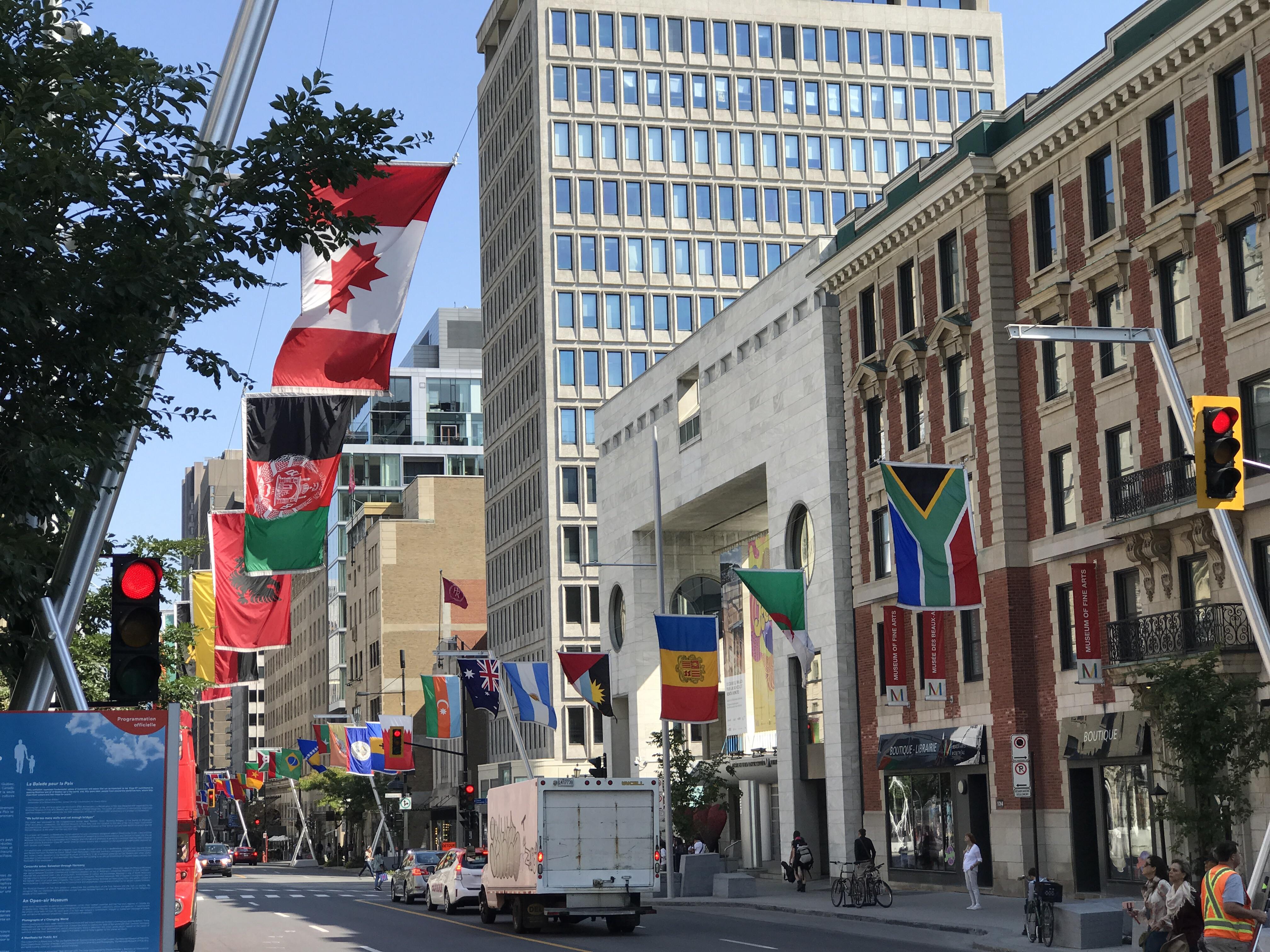 If you walk down Sherbrooke street starting from the Musée des beaux