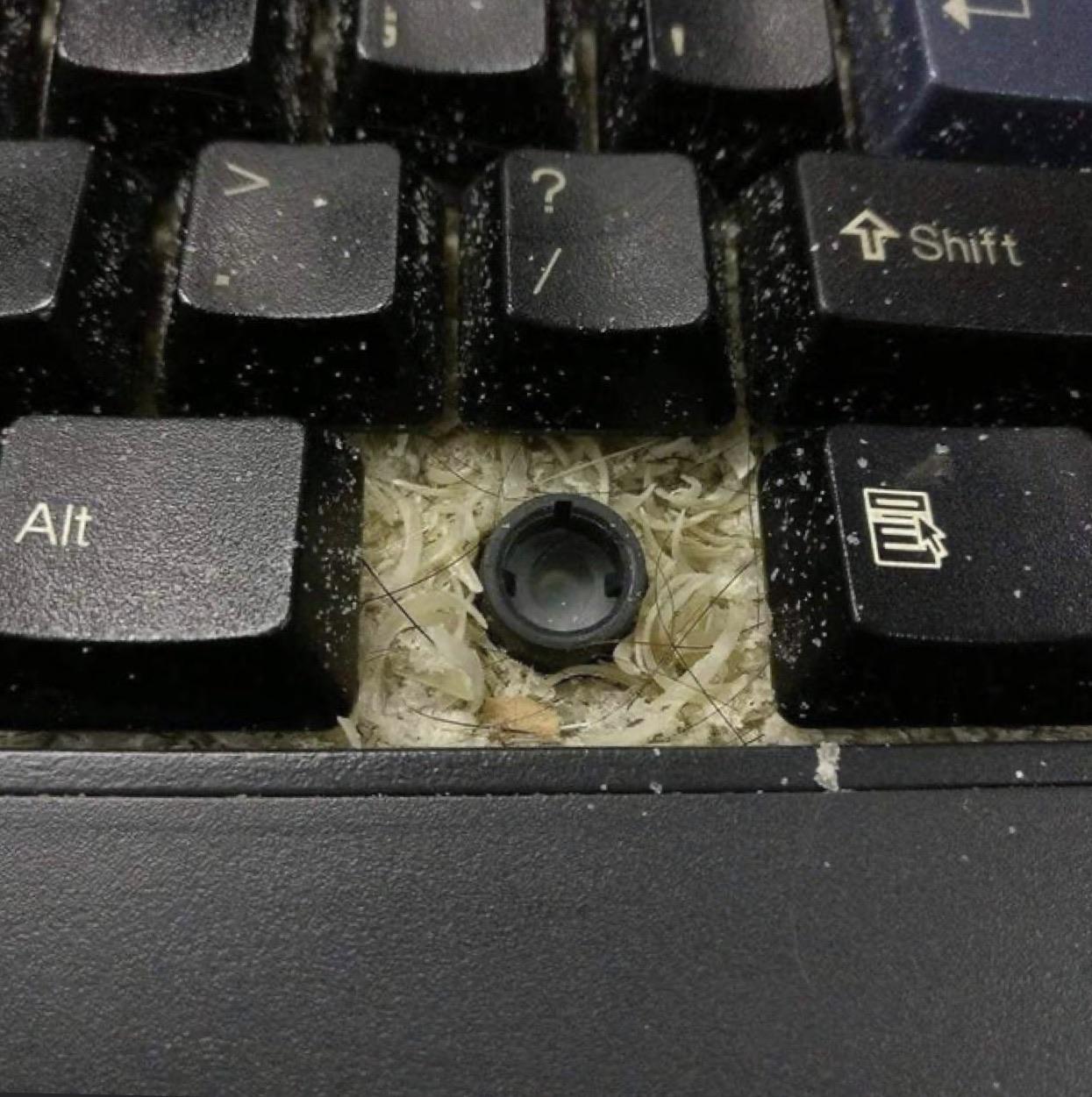 I need to clean my keyboard r/MakeMeSuffer
