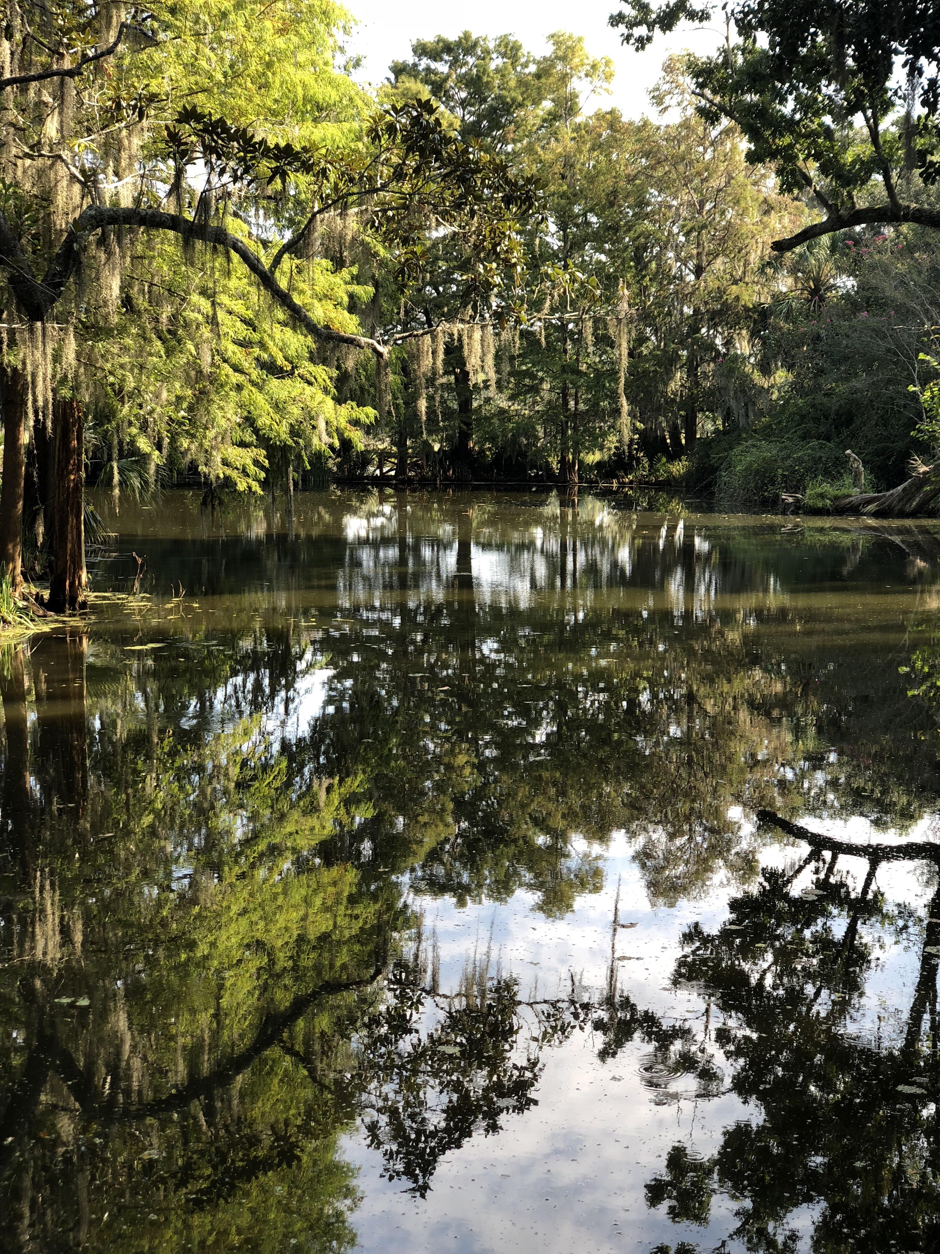 Magnolia Plantation in Charleston, South Carolina [OC] [4032x3024] r