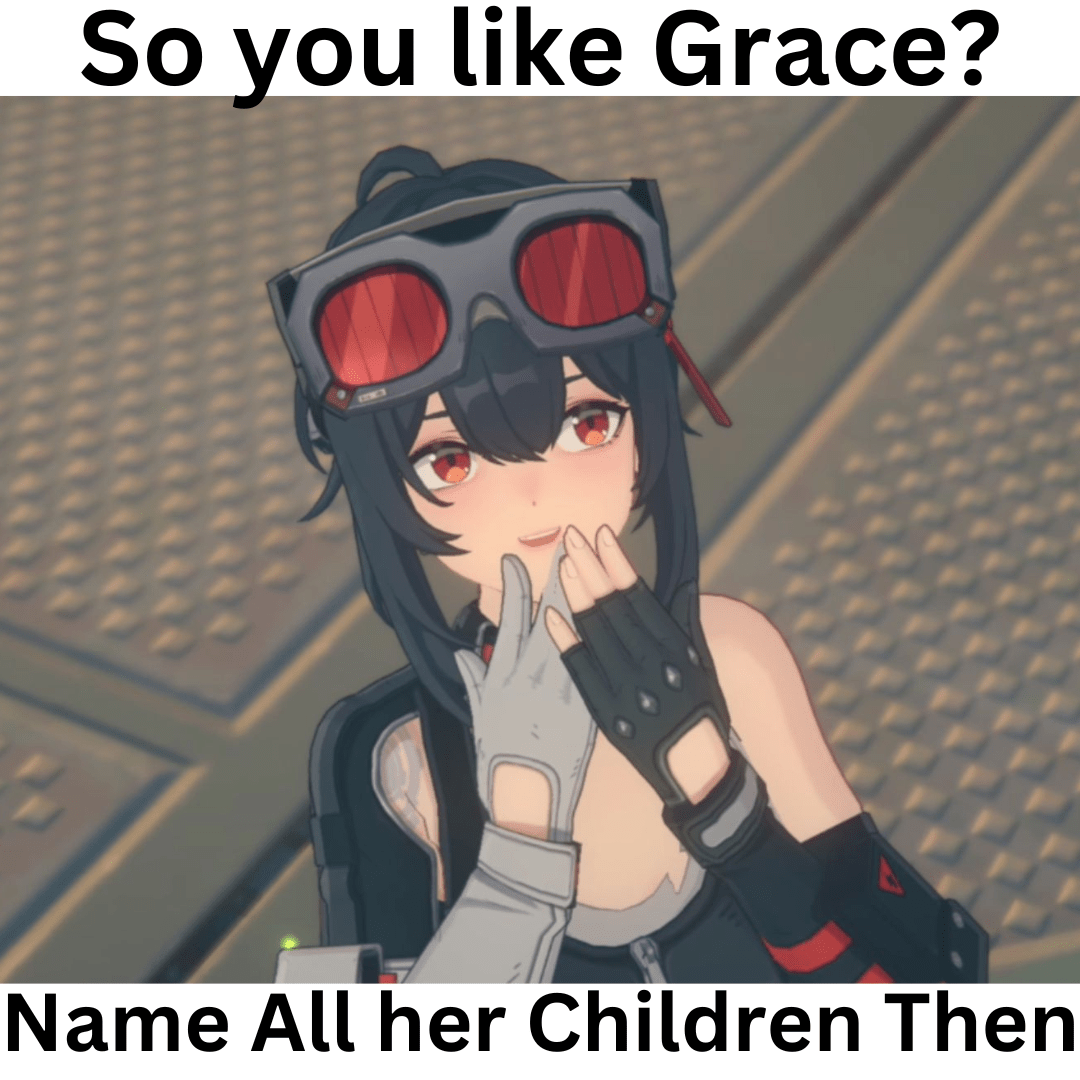 To all Grace Fans... r/ZZZ_Official