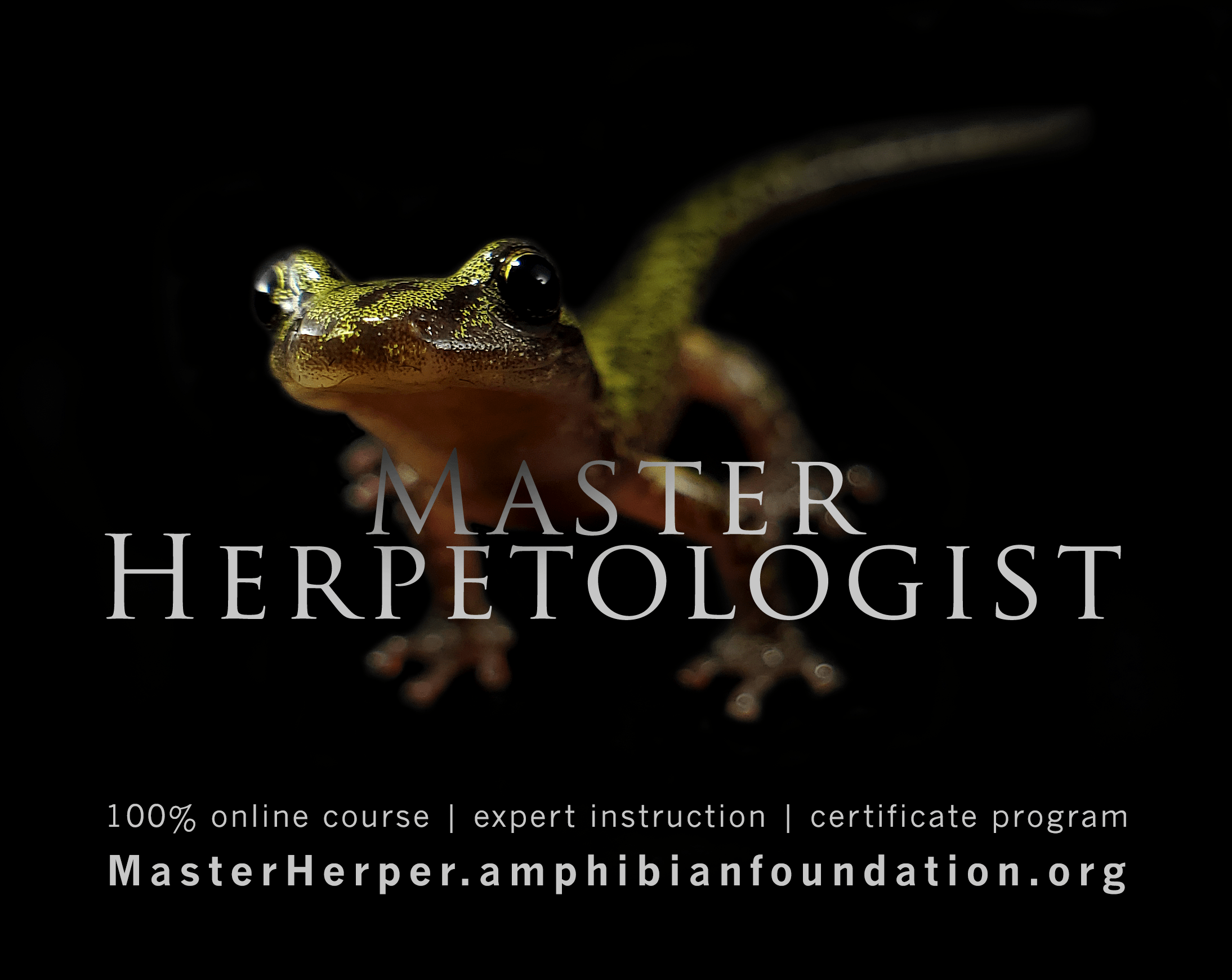 A 100 online version of the Amphibian Foundation's acclaimed 'Master