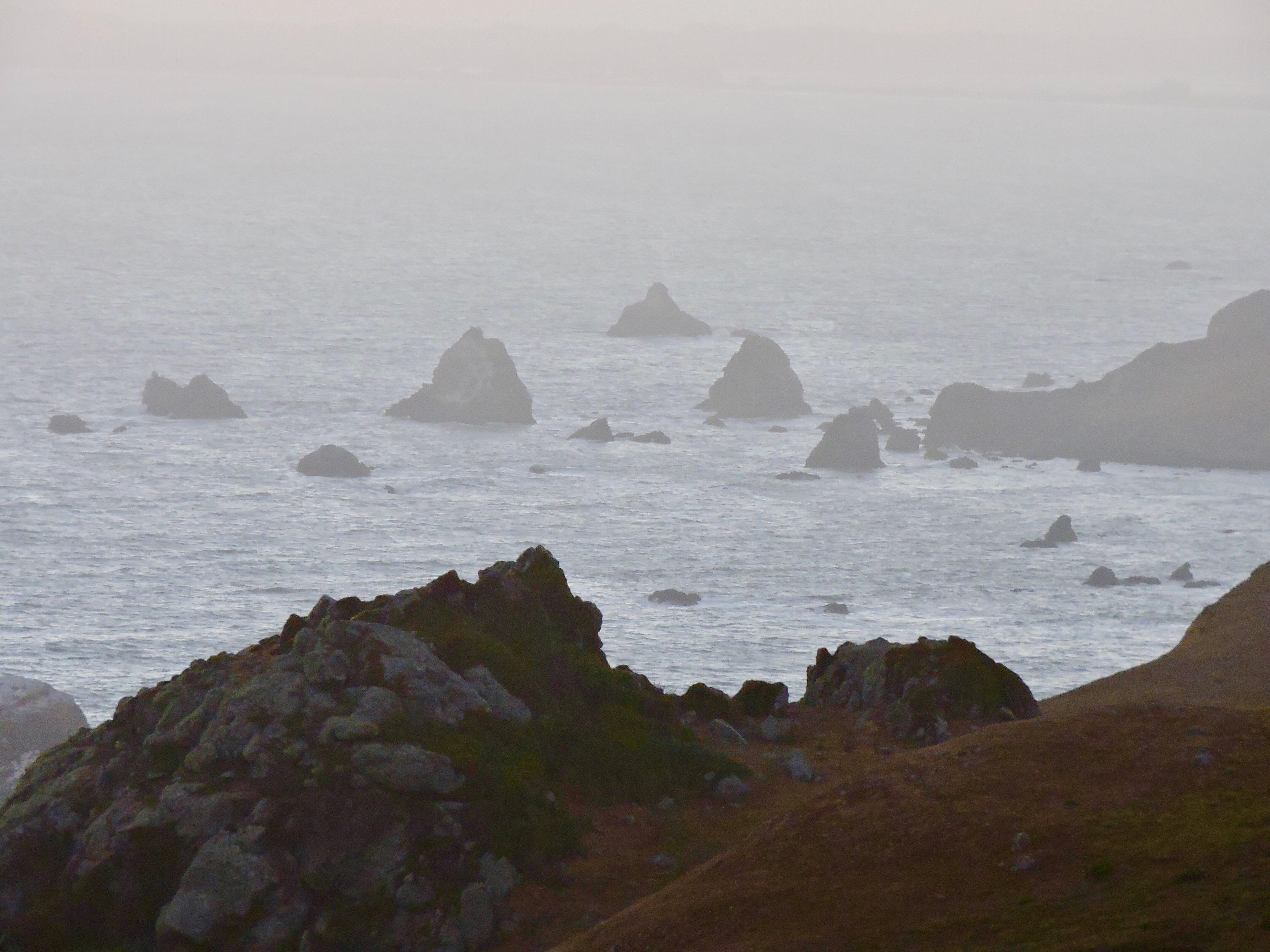 Fog at high tide Bodega Bay, CA [OC 4608x3456] r/EarthPorn