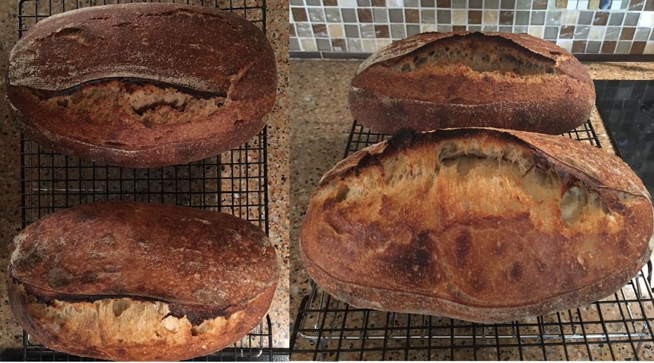 Twin loaves from different doughs r/Breadit