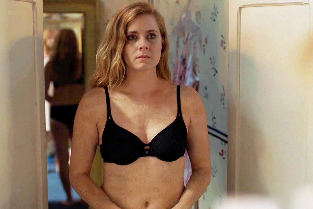 Amy Adams : CelebrityMidriff