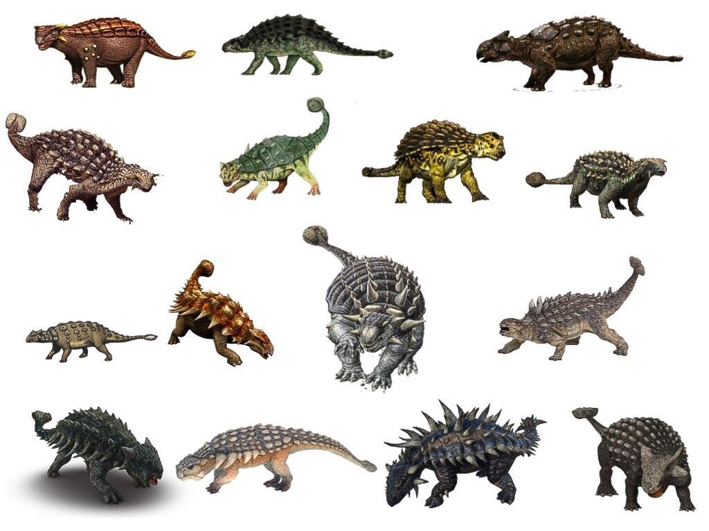 Dinosaurs Ankylosaurus