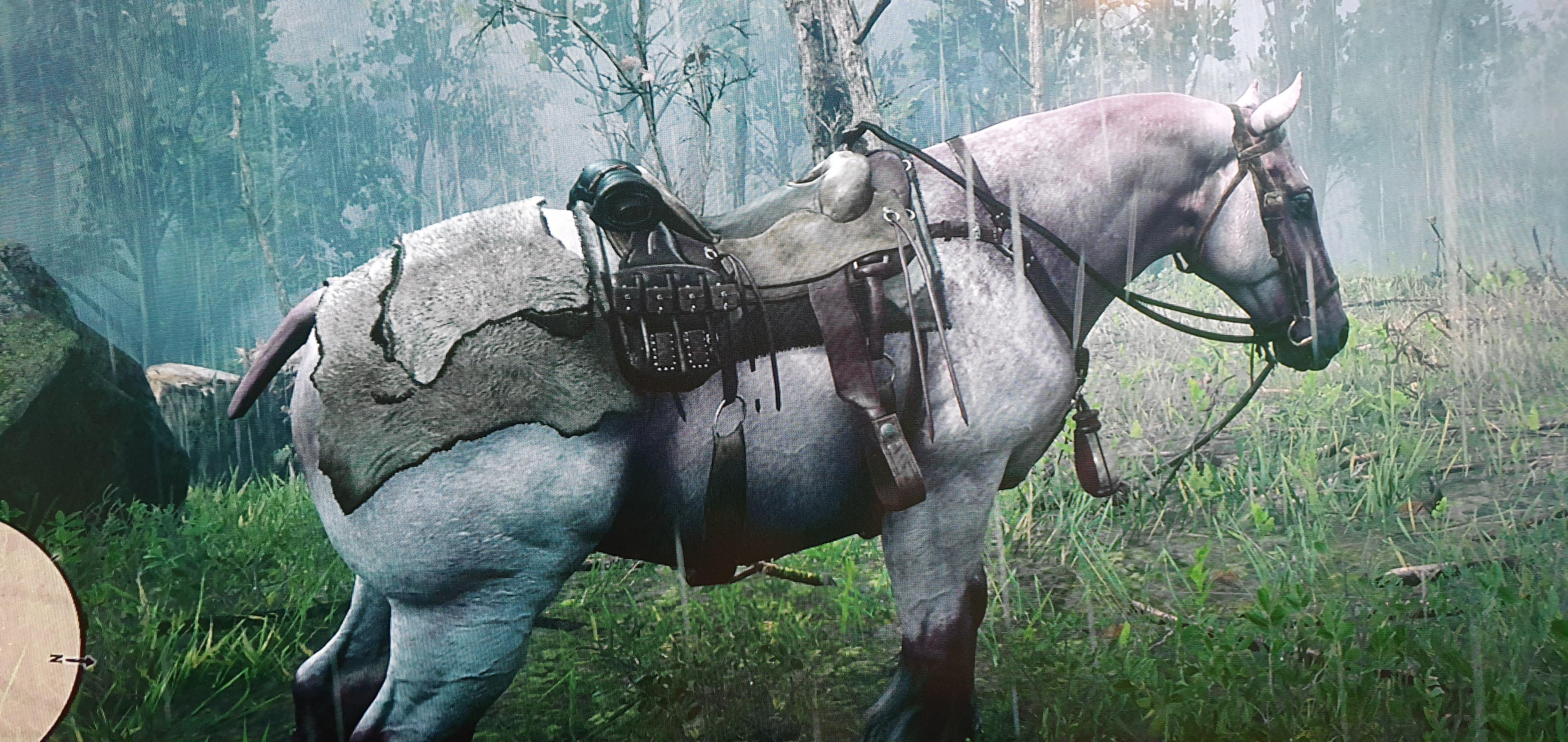 My horse kind of bugged and now she has no hair. That tail still freaks