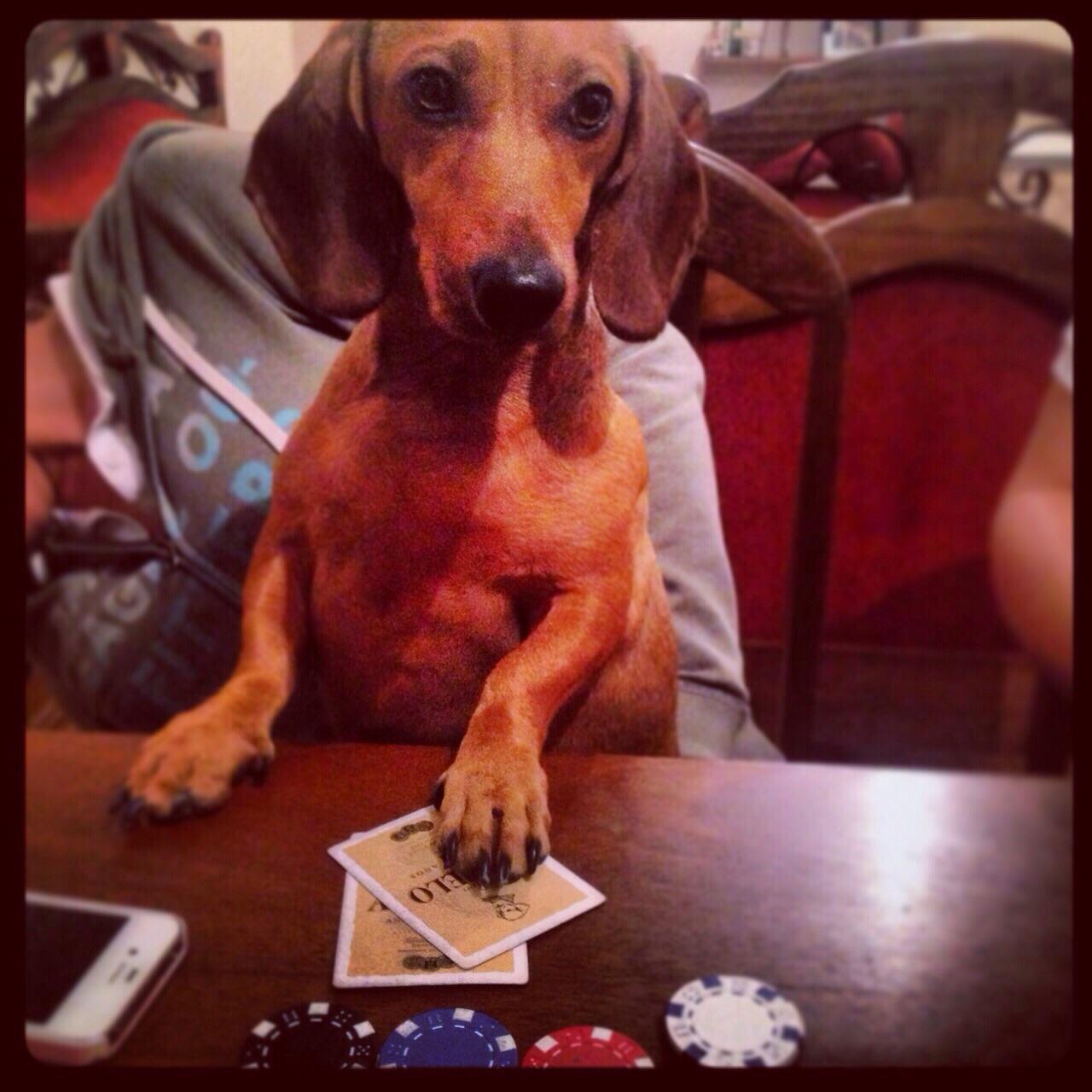 poker face poker