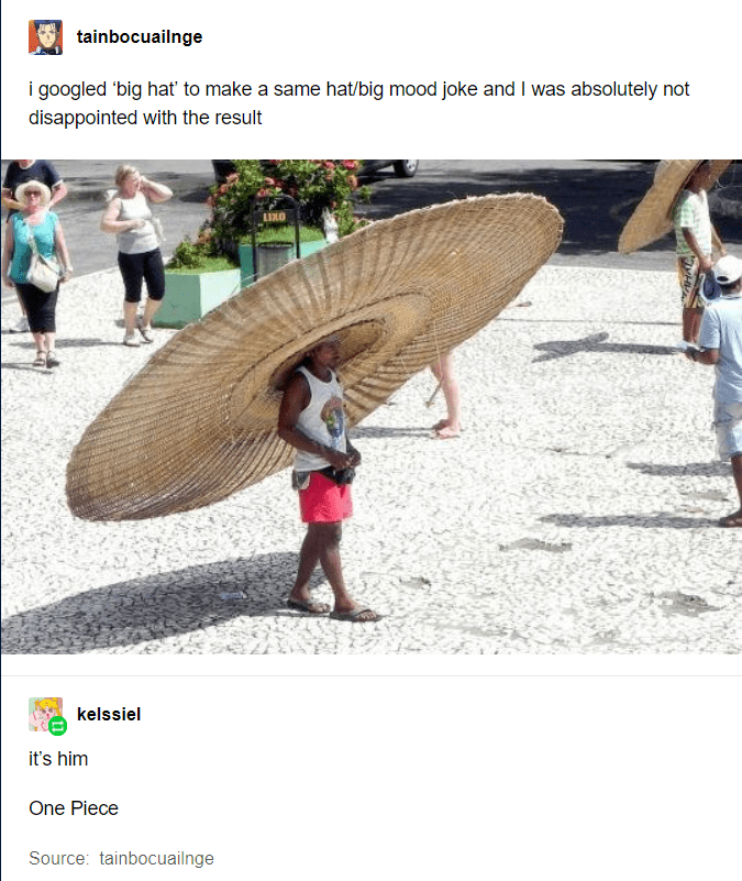 The owner of the hat in Mariejois r/MemePiece