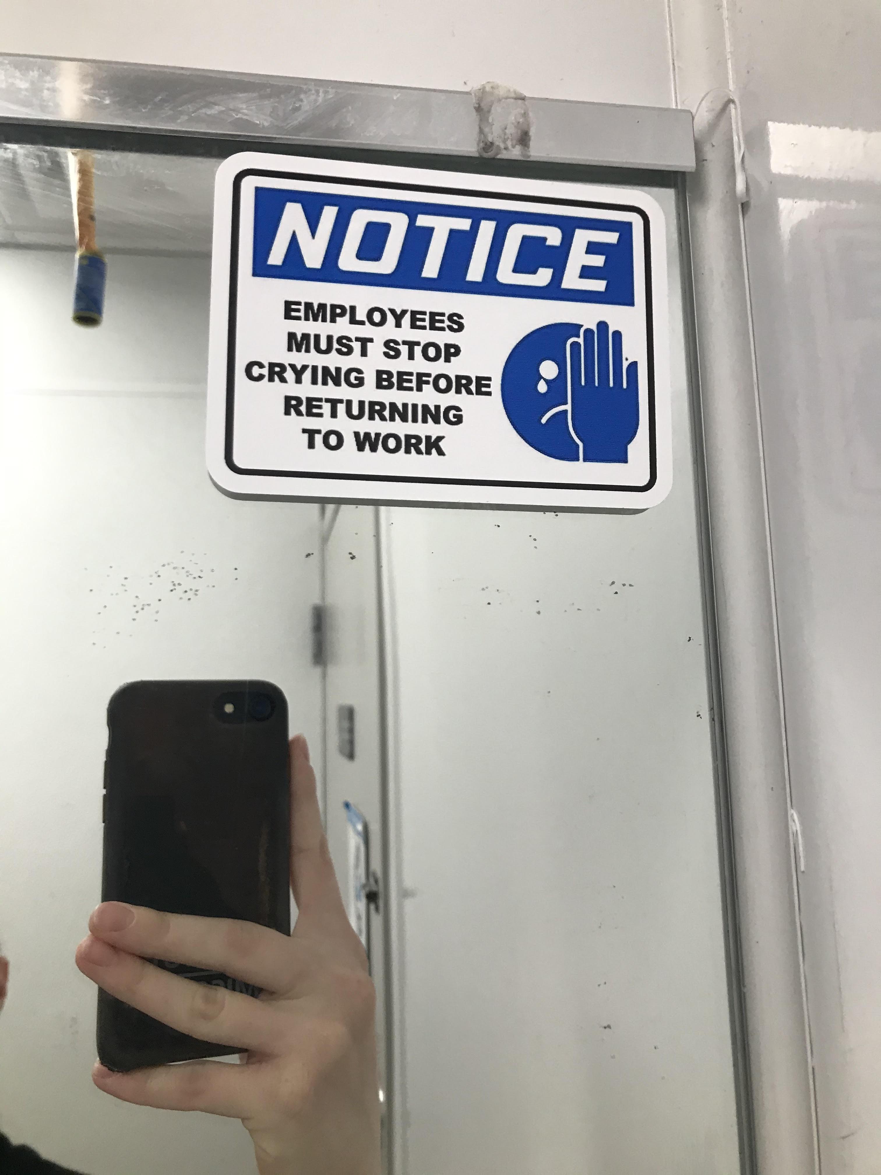 Day 10 of Nobody Noticing the April Fool's Prank pics