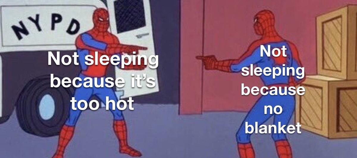 Too Hot, No Blanket = Not sleeping r/memes