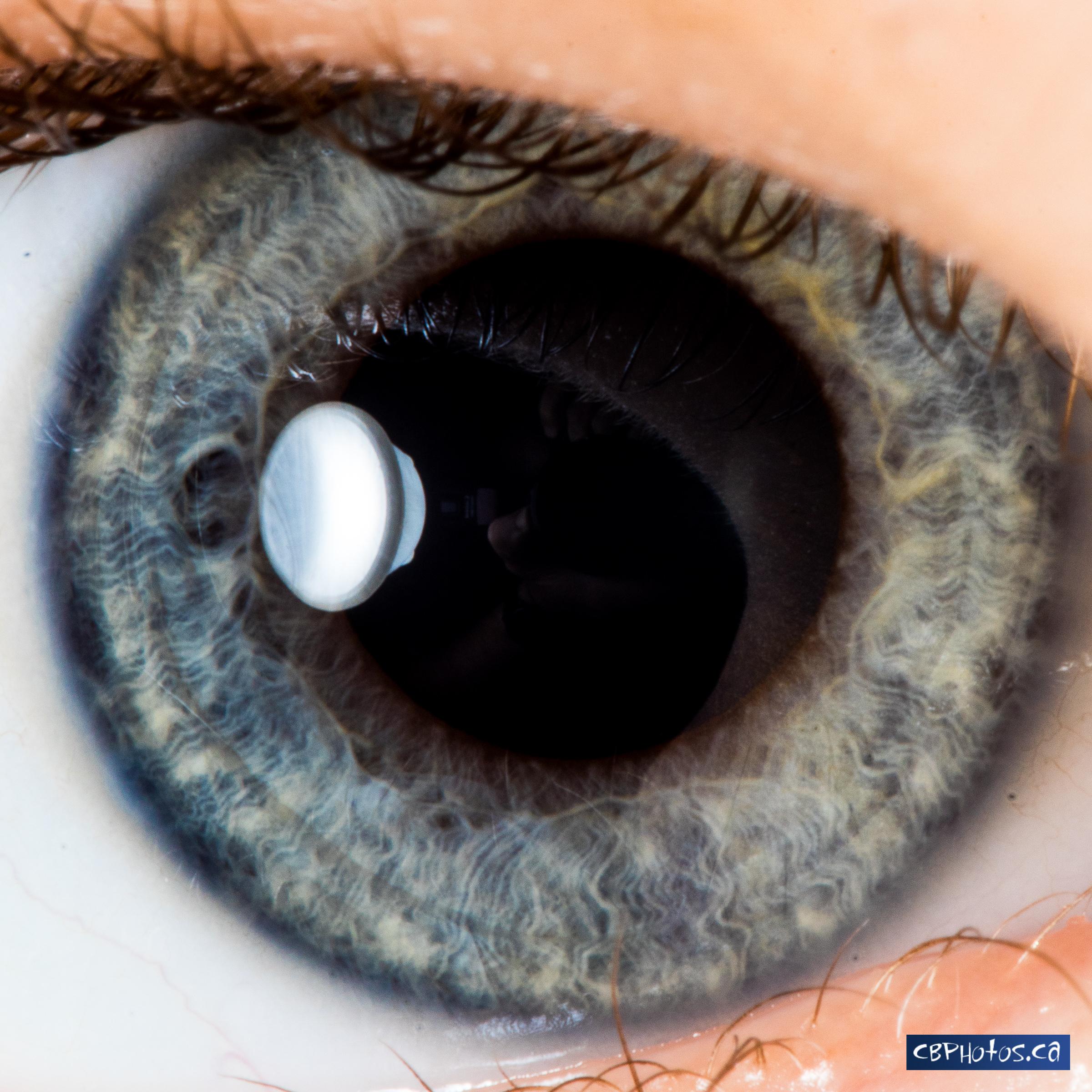 Closeup of my daughter's eye [OC] [2400x2400] r/MacroPorn
