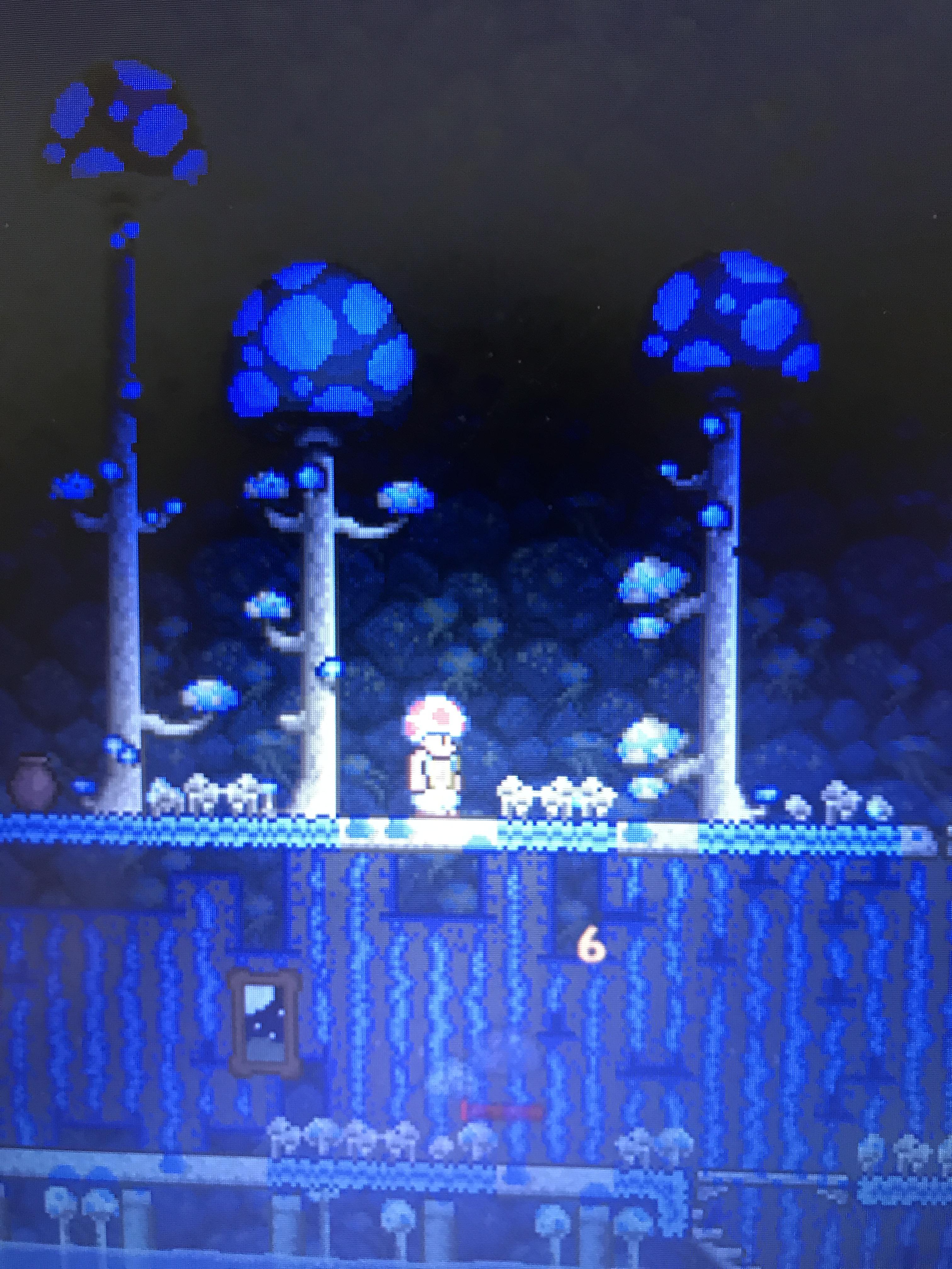 Was there always a mushroom vanity set or is this new too? r/Terraria