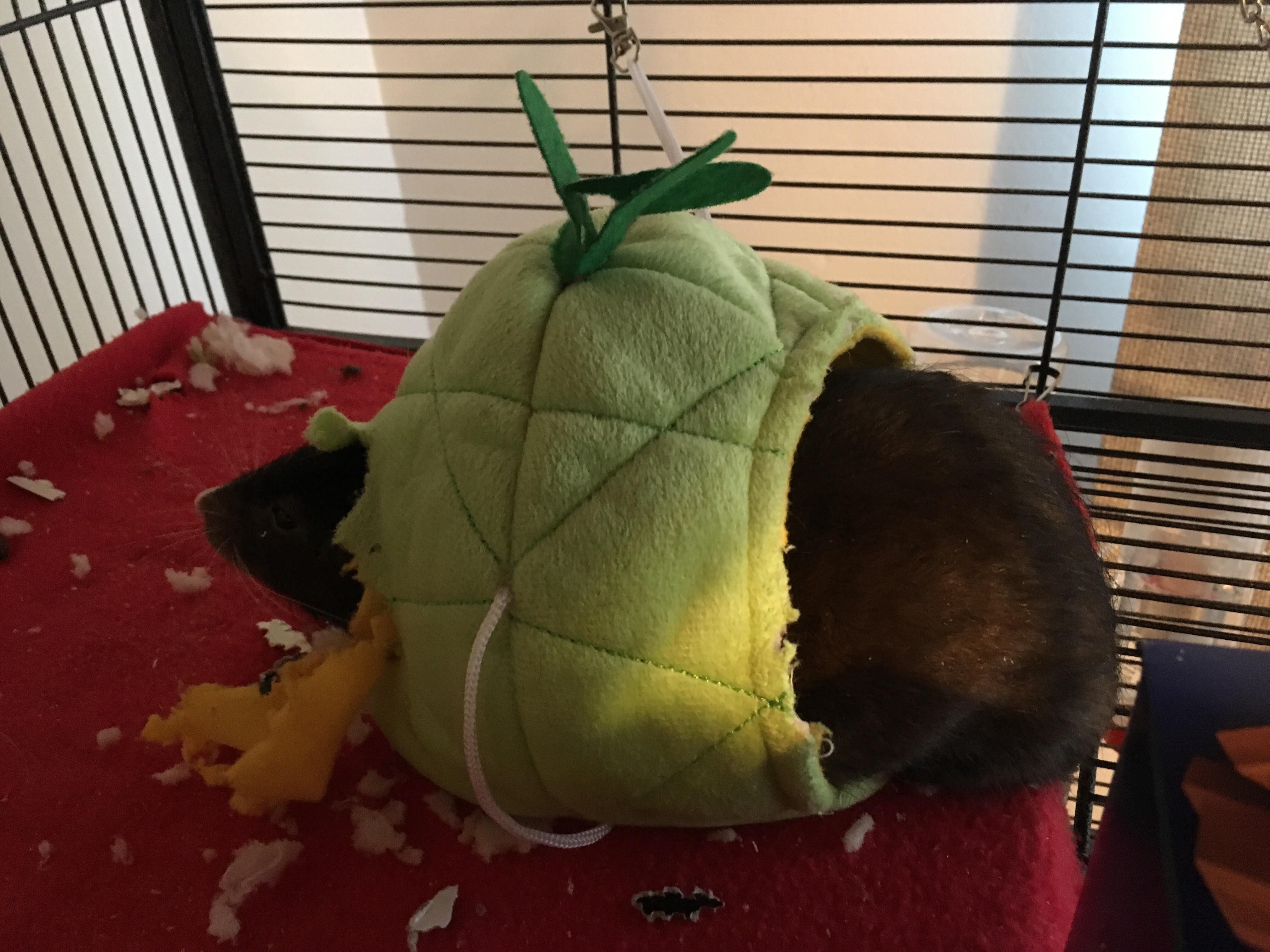 Well, that’s certainly one way of using the pineapple r/RATS