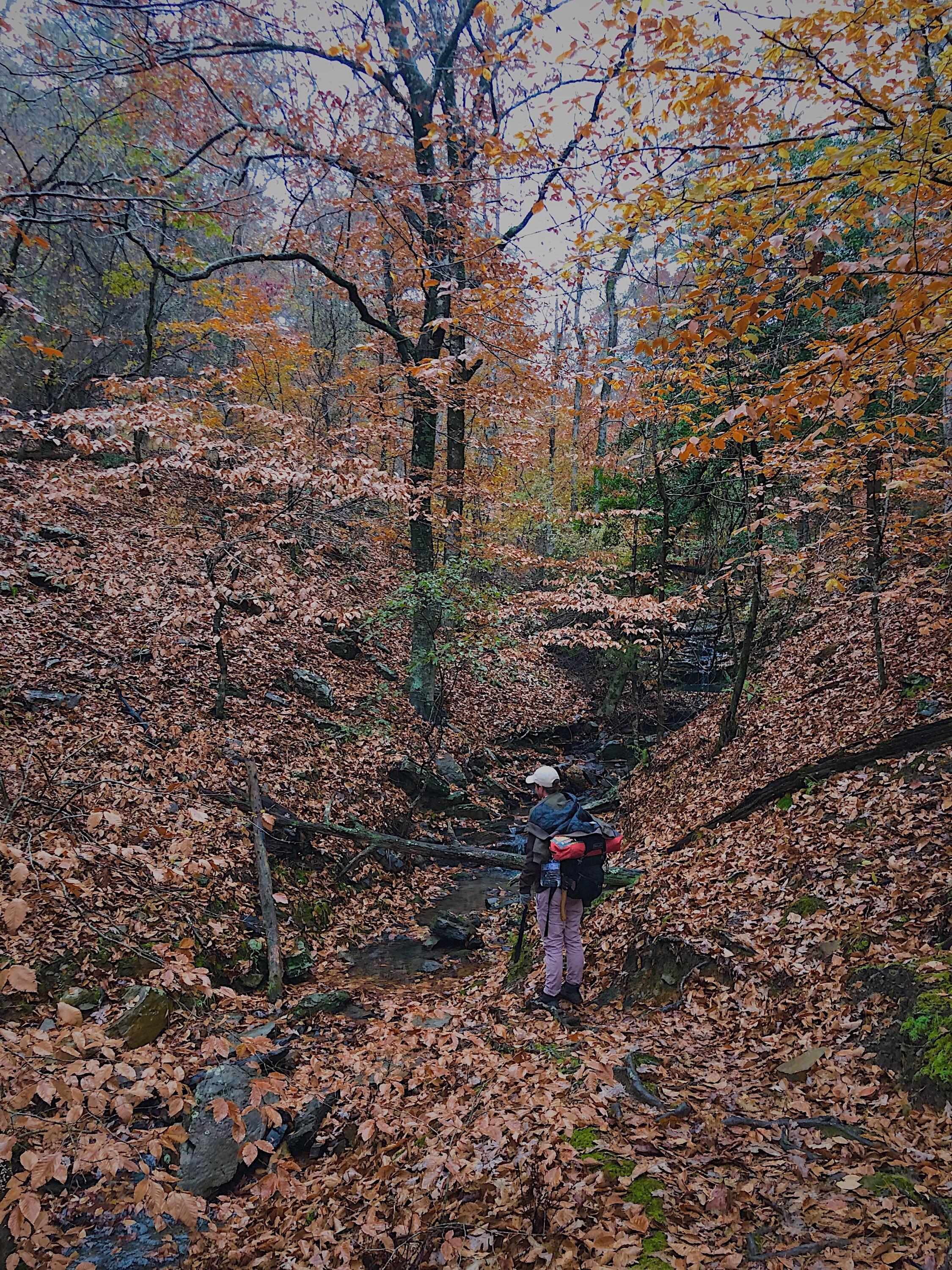 53 best Ouachita National Forest images on Pholder Campingand Hiking