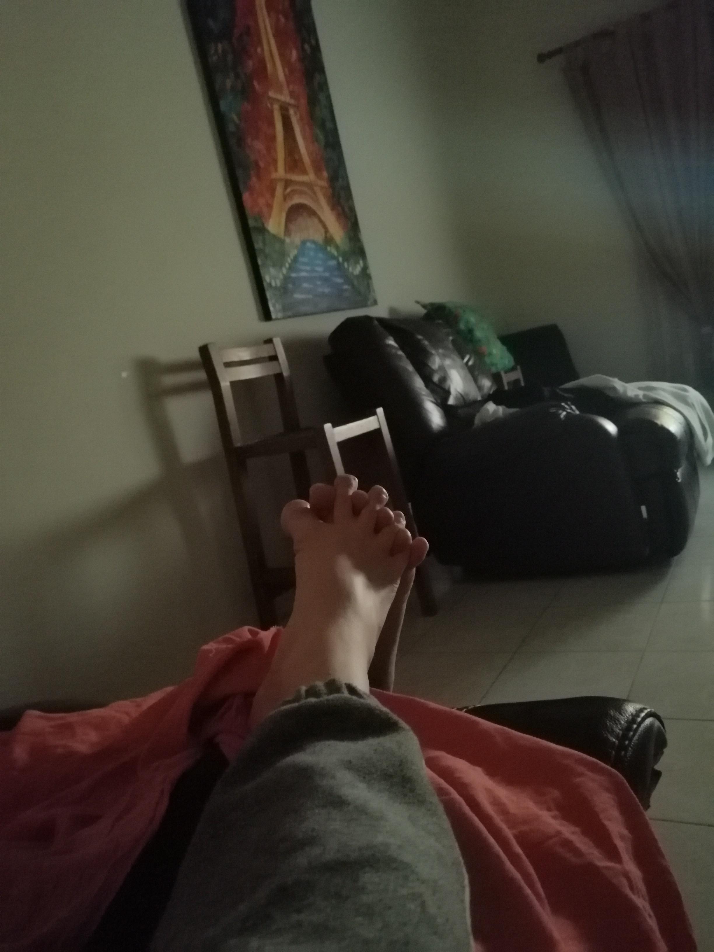 Please hold my pata (feet in Spanish) r/pics