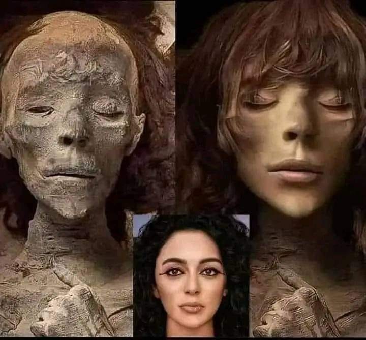 Reconstruction of the face of Queen Tiye (1338 BC), Akhenaten's mother
