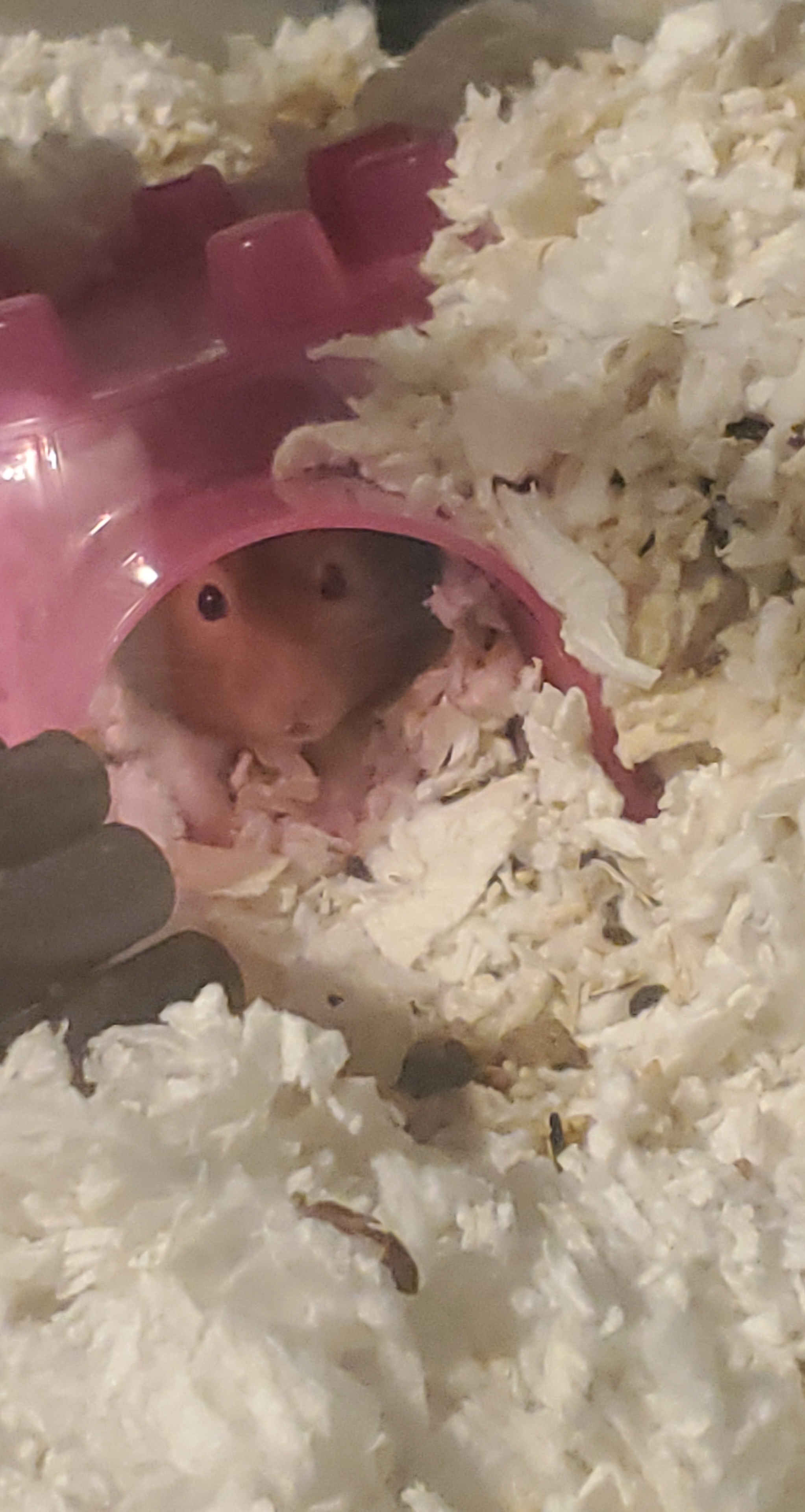 I was wondering if anybody had any advice for a water bottle to get for