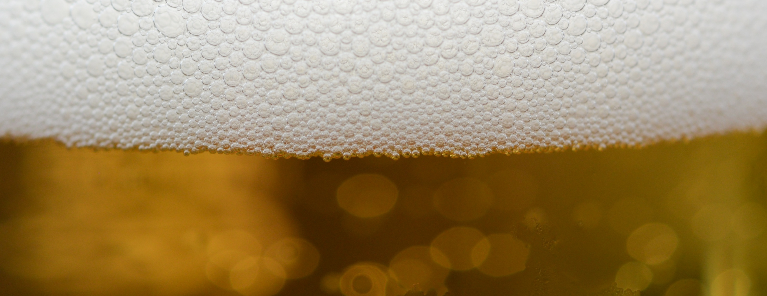 beer foam [2650x1024] r/multiwall