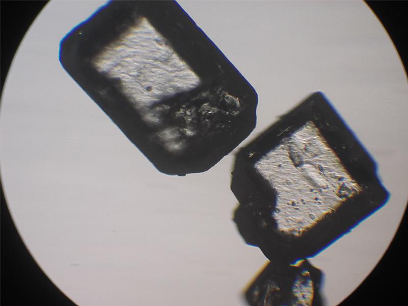 sugar crystals under microscope [OC][800*600] r/MicroPorn