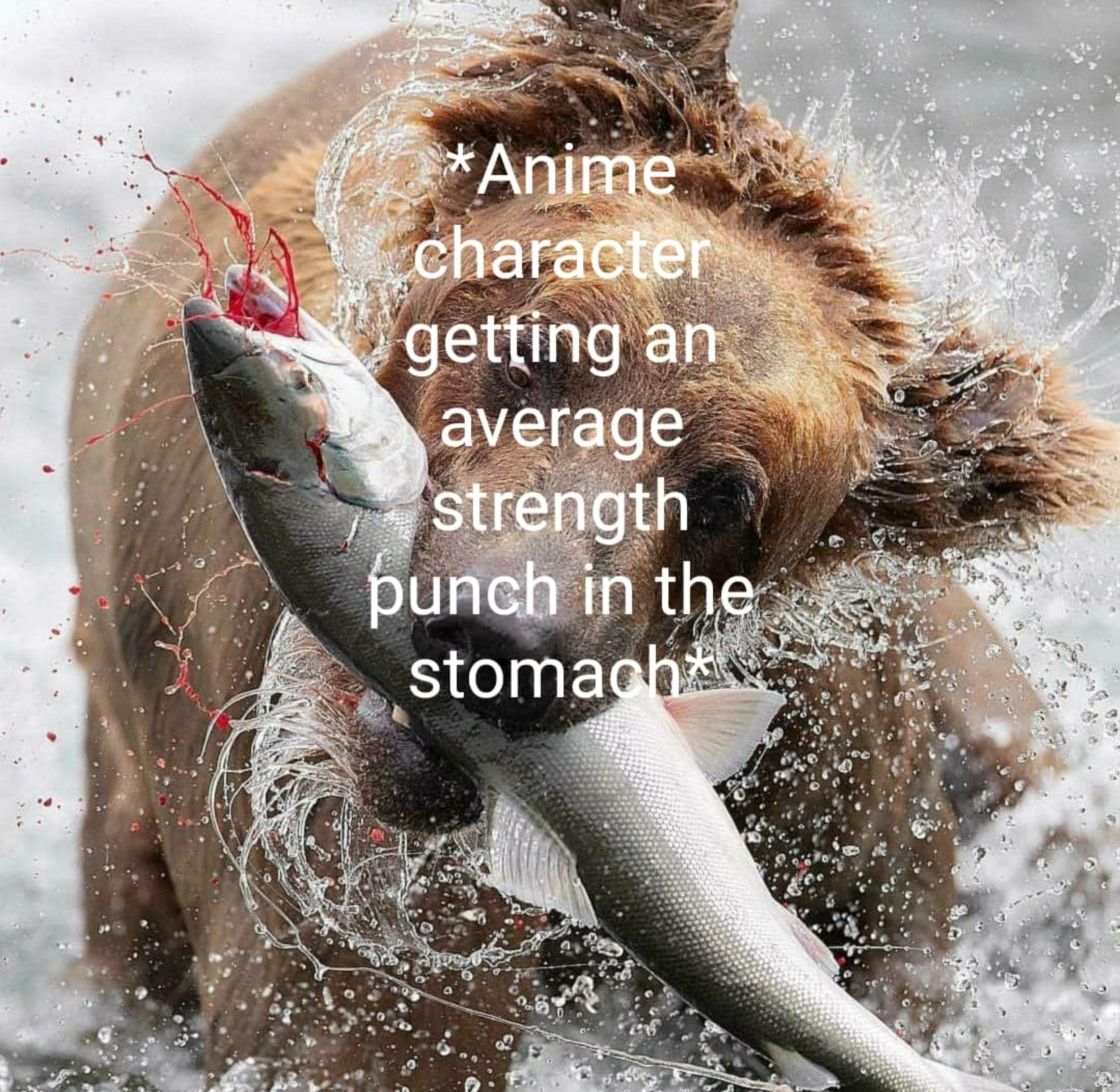 Every anime ever r/Animemes