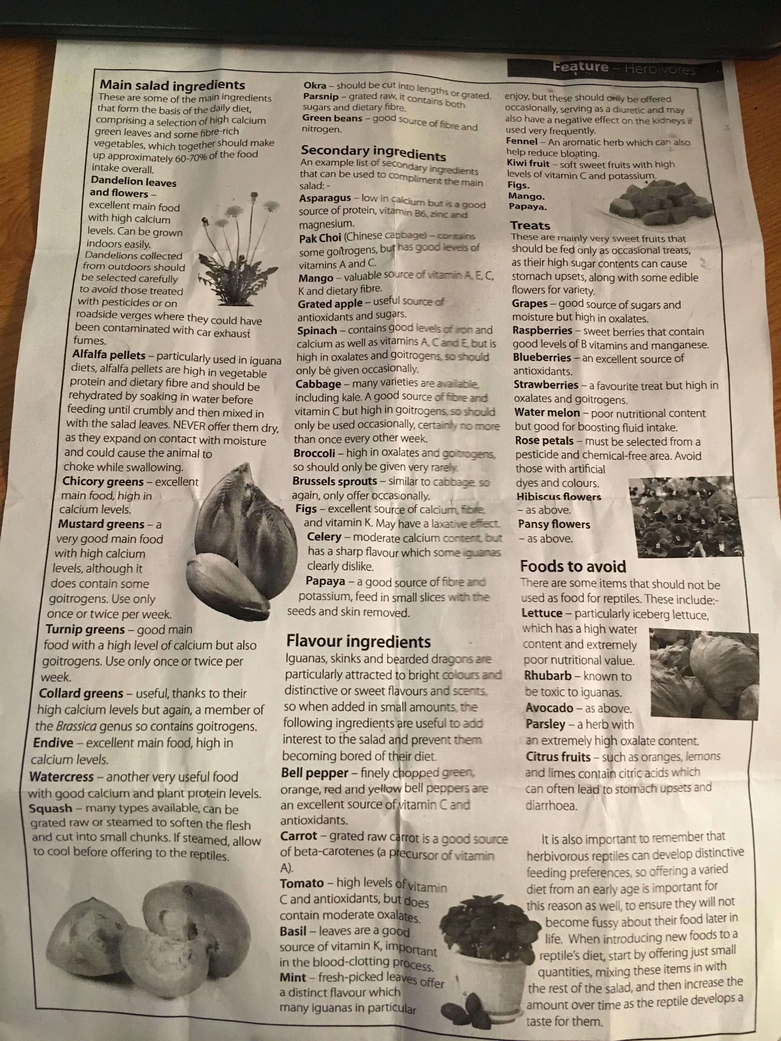 Russian Tortoise diet sheet. tortoise