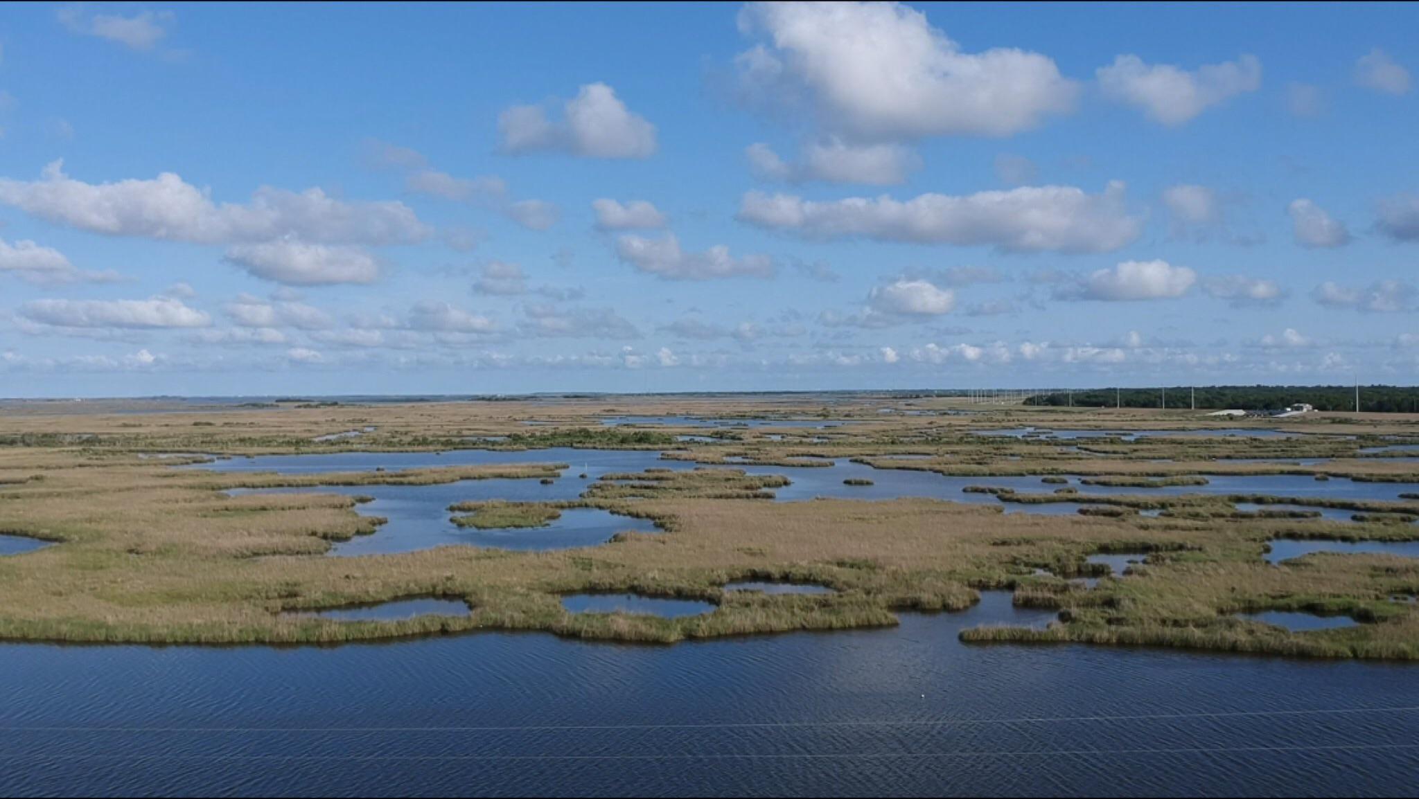 My playground South Louisiana Pointe a la hache r/kayakfishing